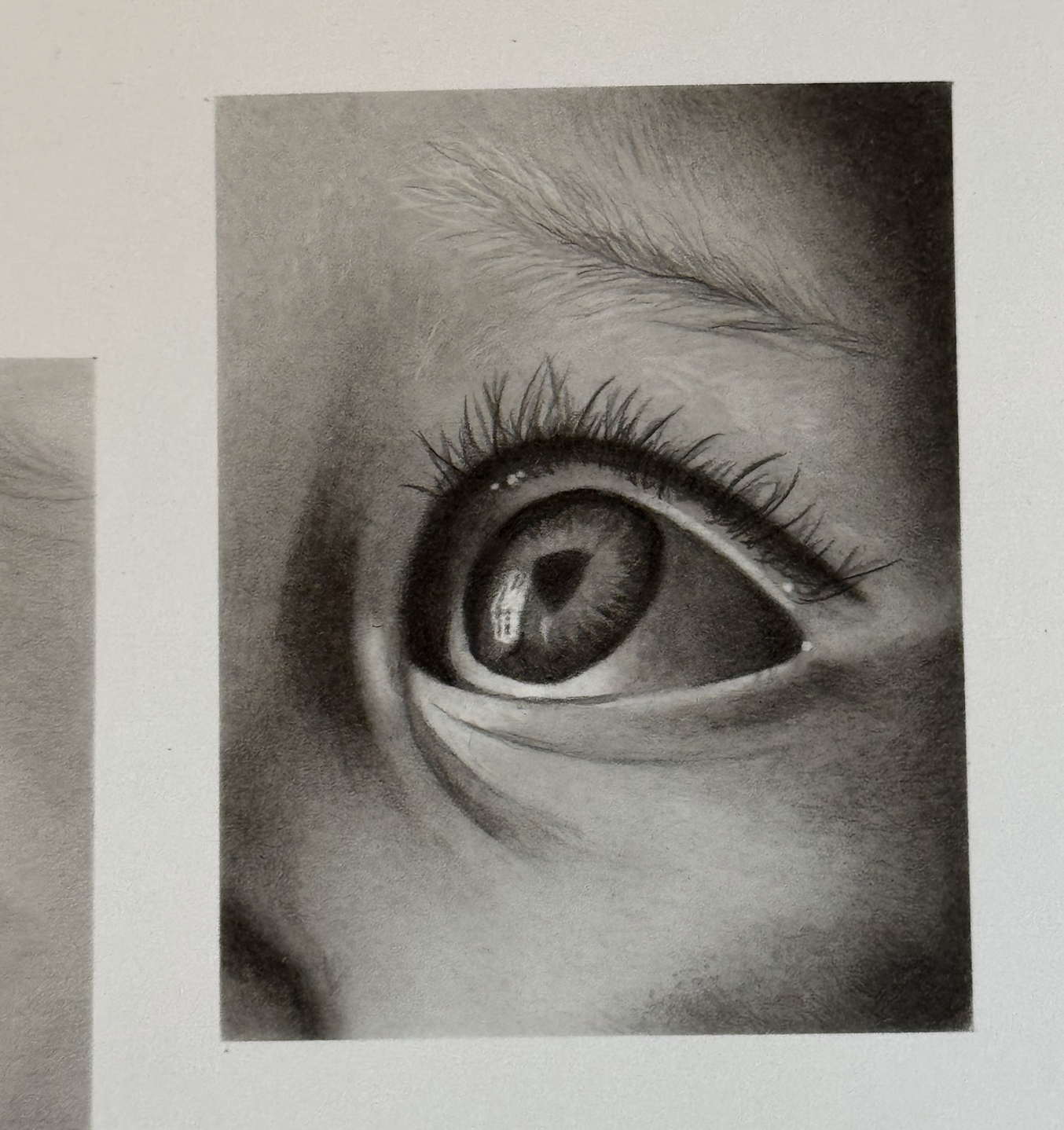 Hyper Realistic Eyes in Graphite - image 2 - student project