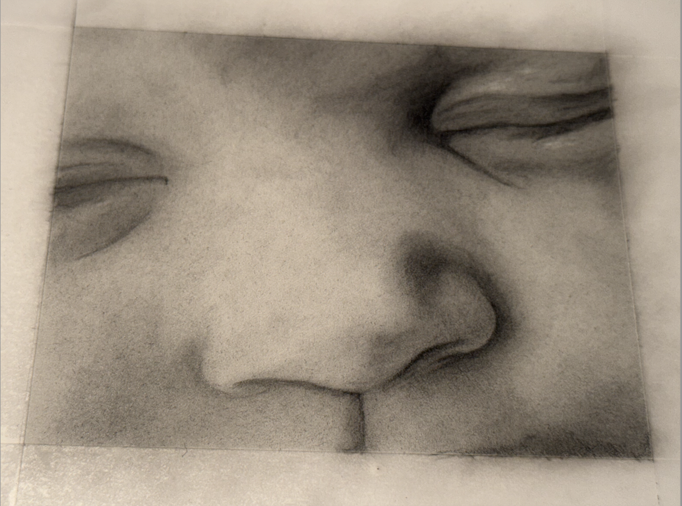 Nose Study in Graphite - image 1 - student project