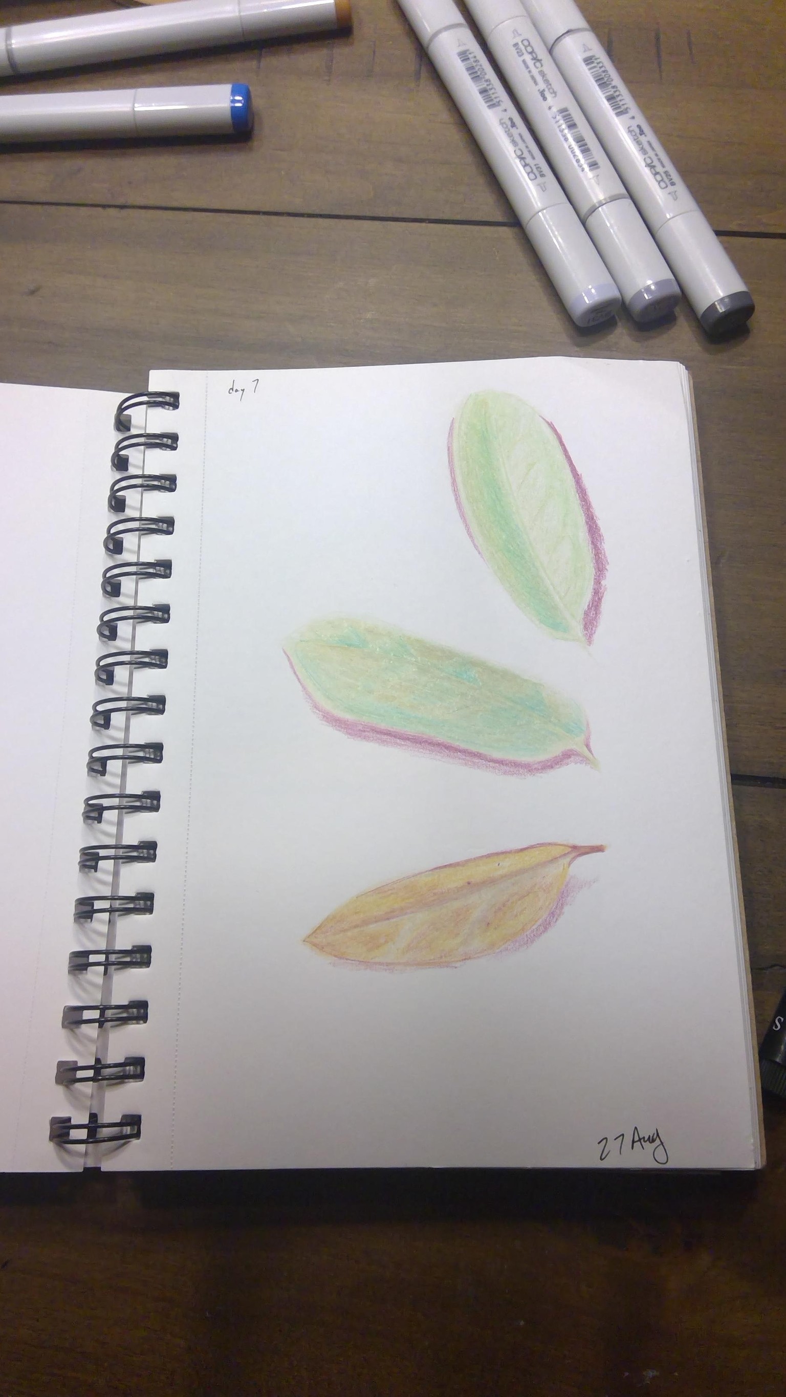 Day 1 - 12 - image 7 - student project