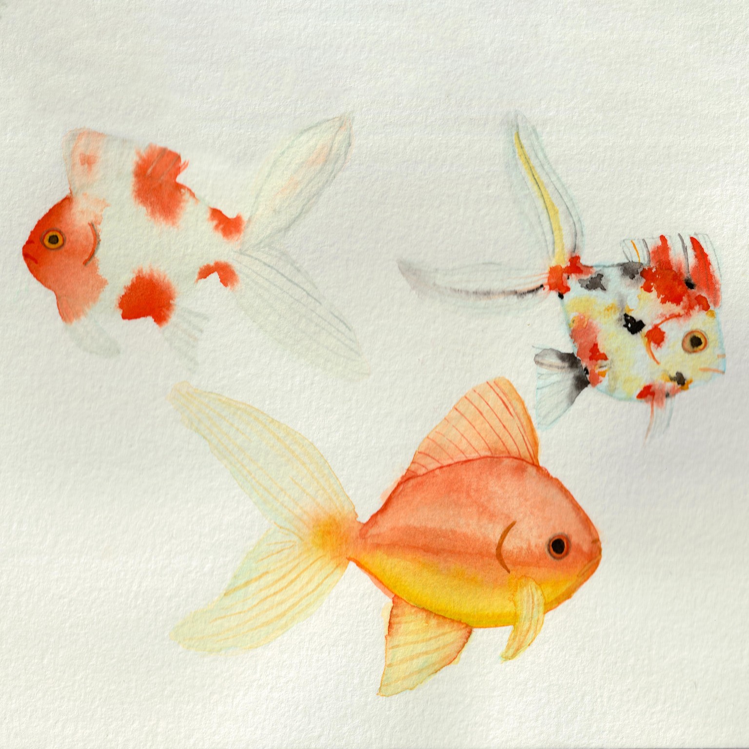 Learn to Paint Watercolor Goldfish - image 1 - student project