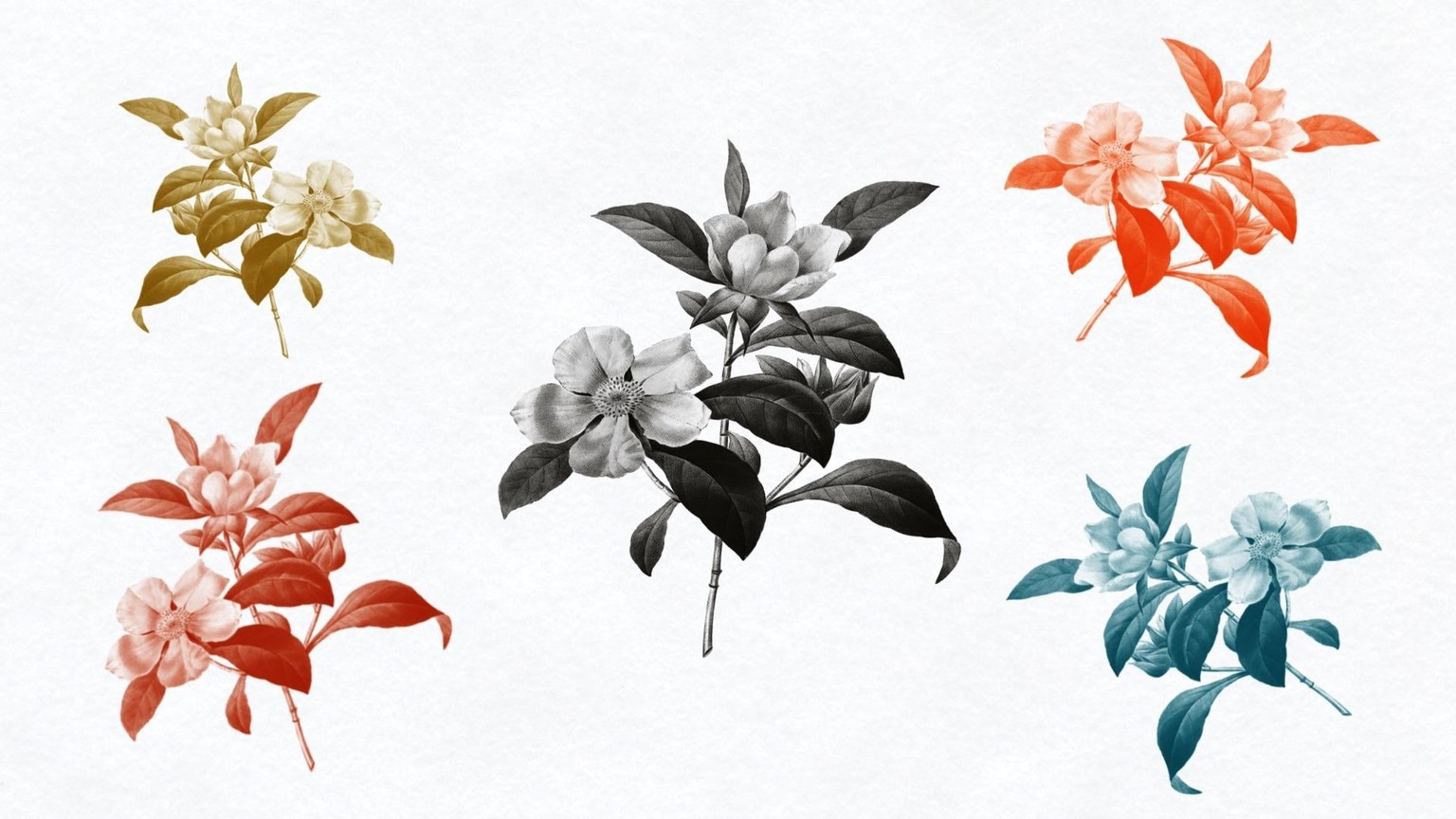 Photo Stamps in Procreate #2: Experiments in Hue + Scatter - image 2 - student project