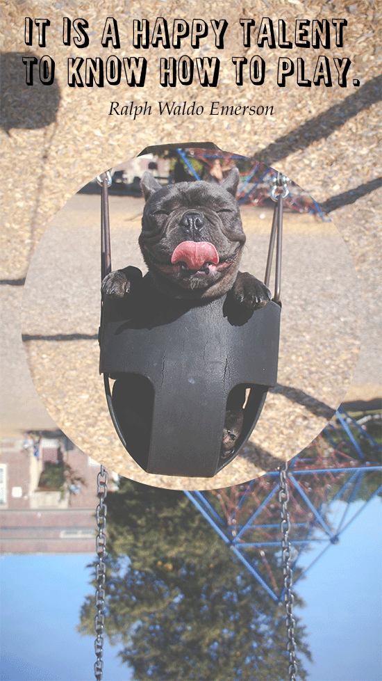 Upside Down Image Effects - image 2 - student project