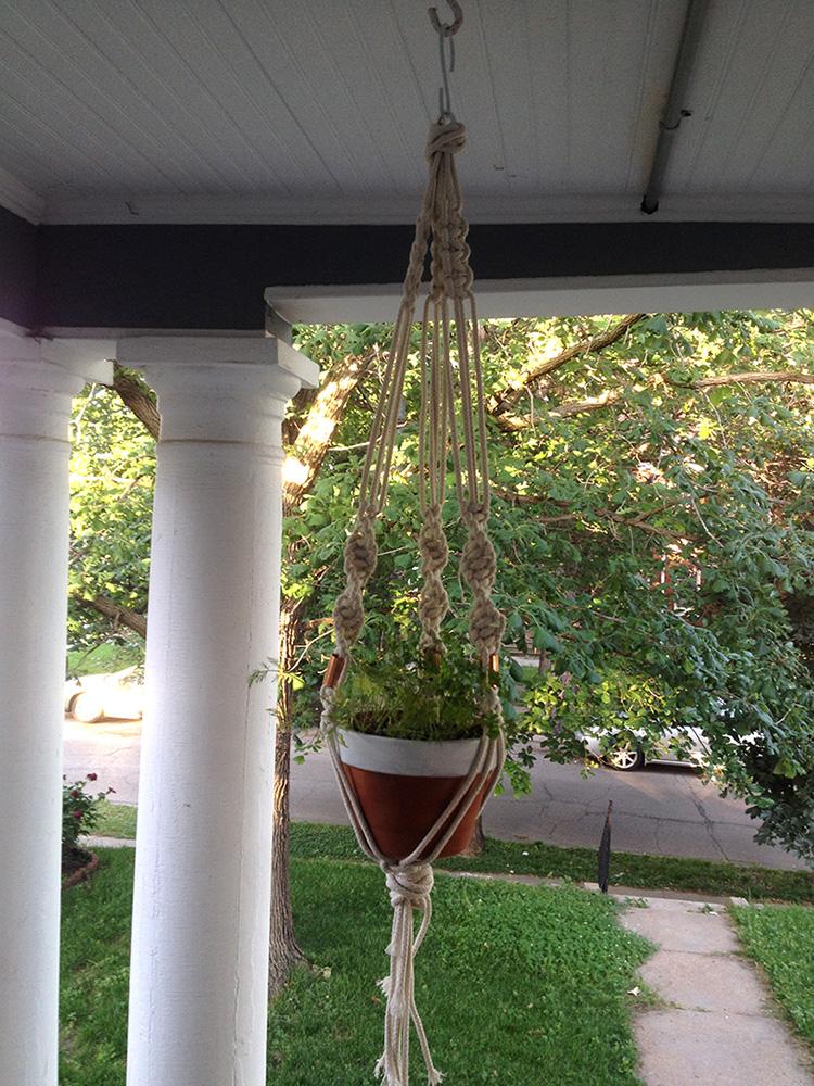 DIY Macrame Plant Hanger - image 1 - student project