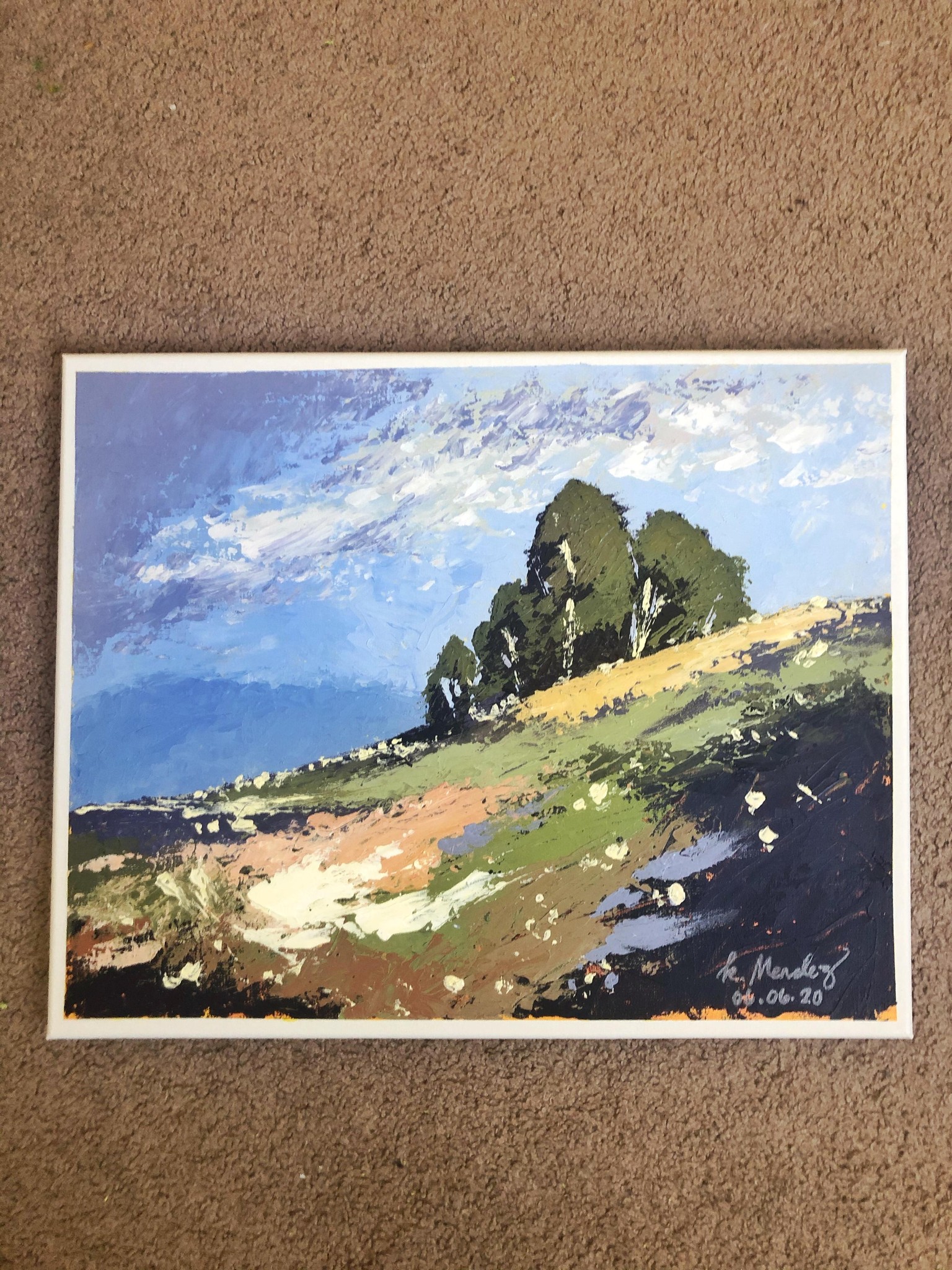 Landscape Using Knife - image 5 - student project