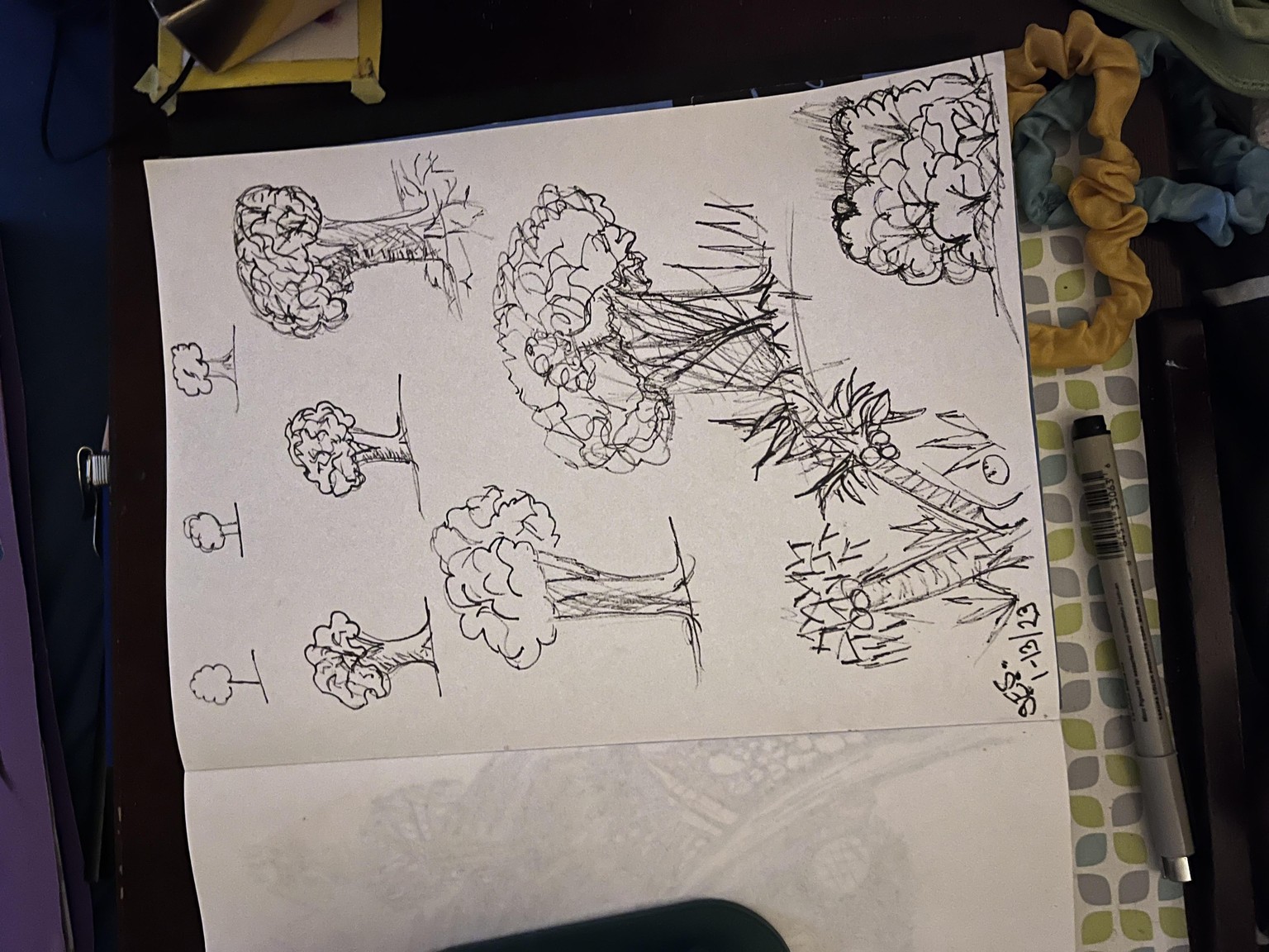Trees Drew - image 2 - student project