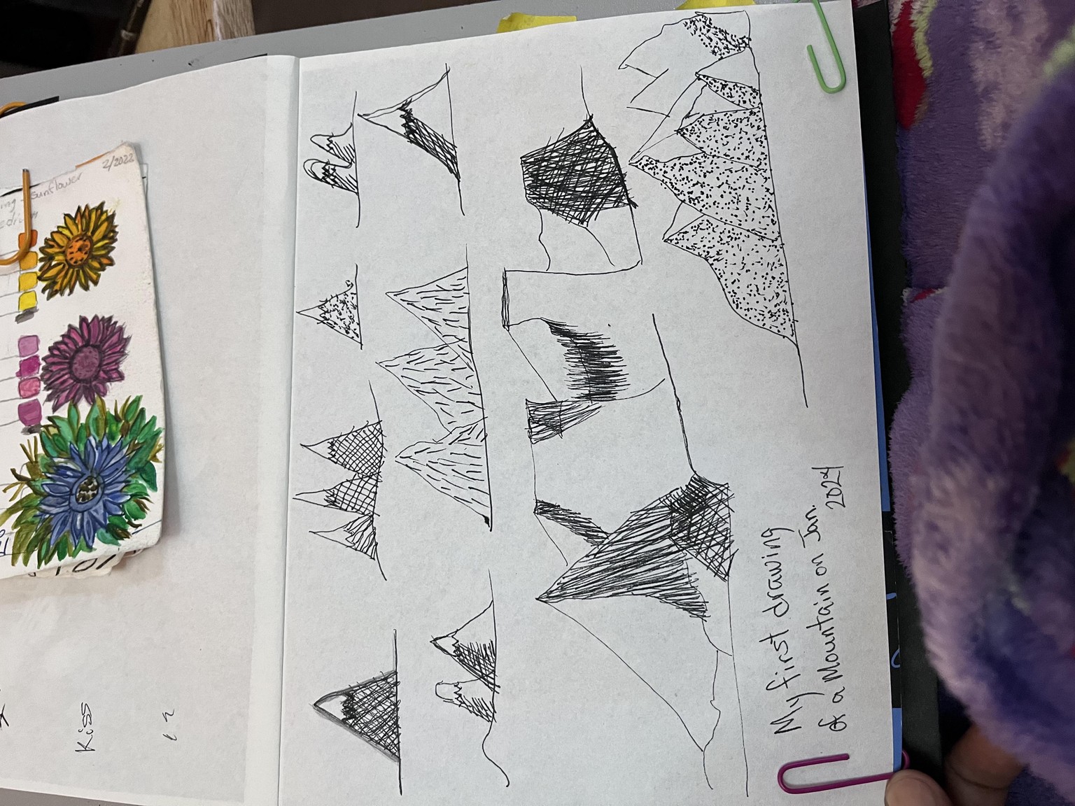 Mountains - image 1 - student project