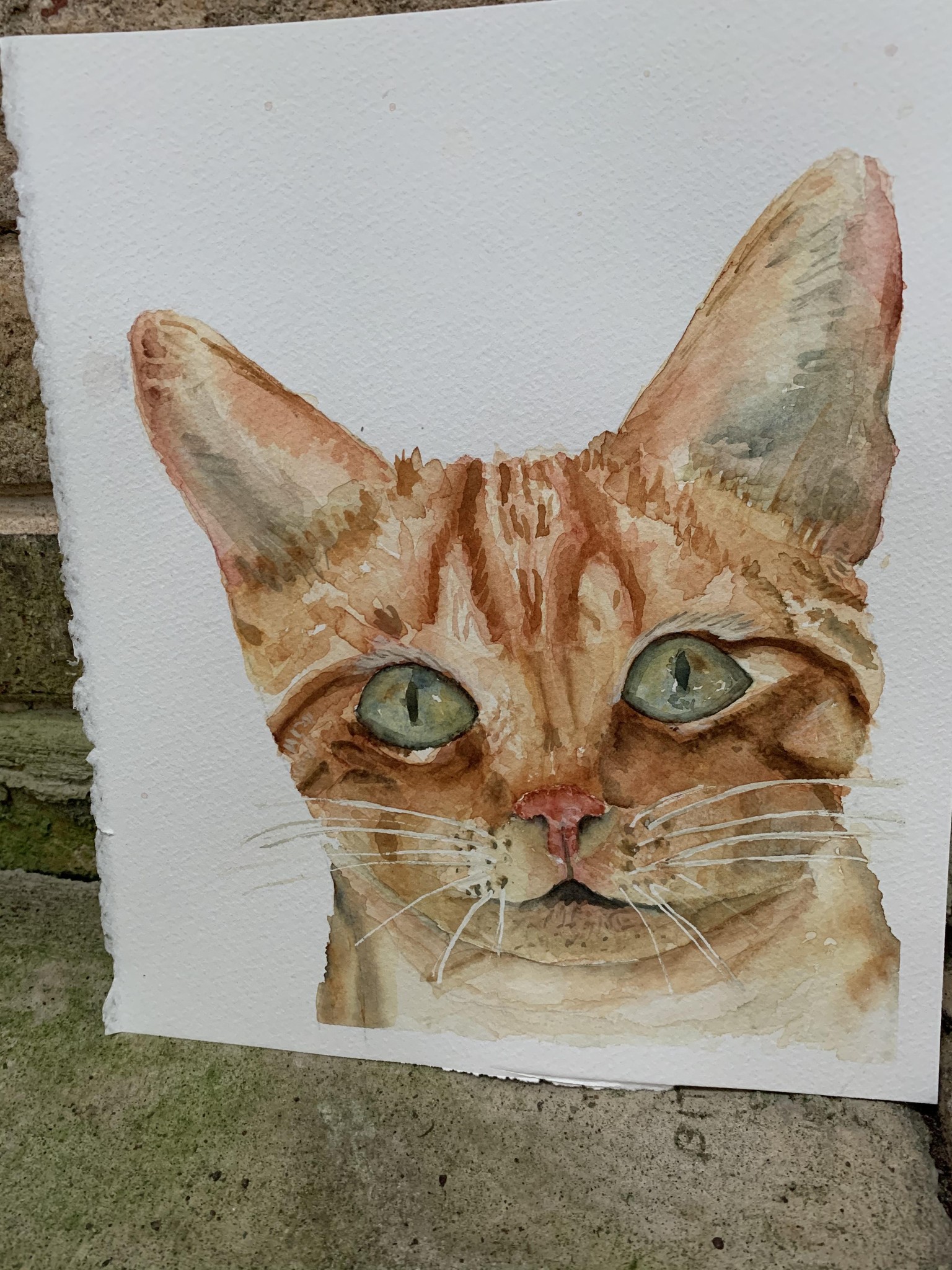 Two ginger kitties - image 1 - student project