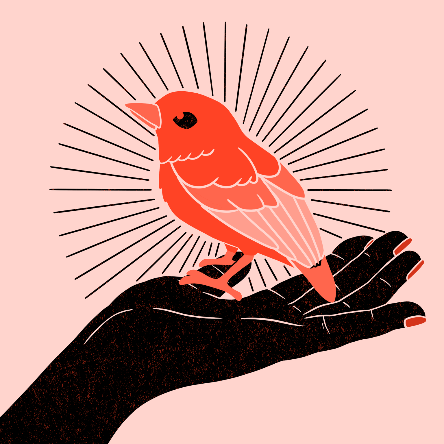 Limited Palette - image 4 - student project