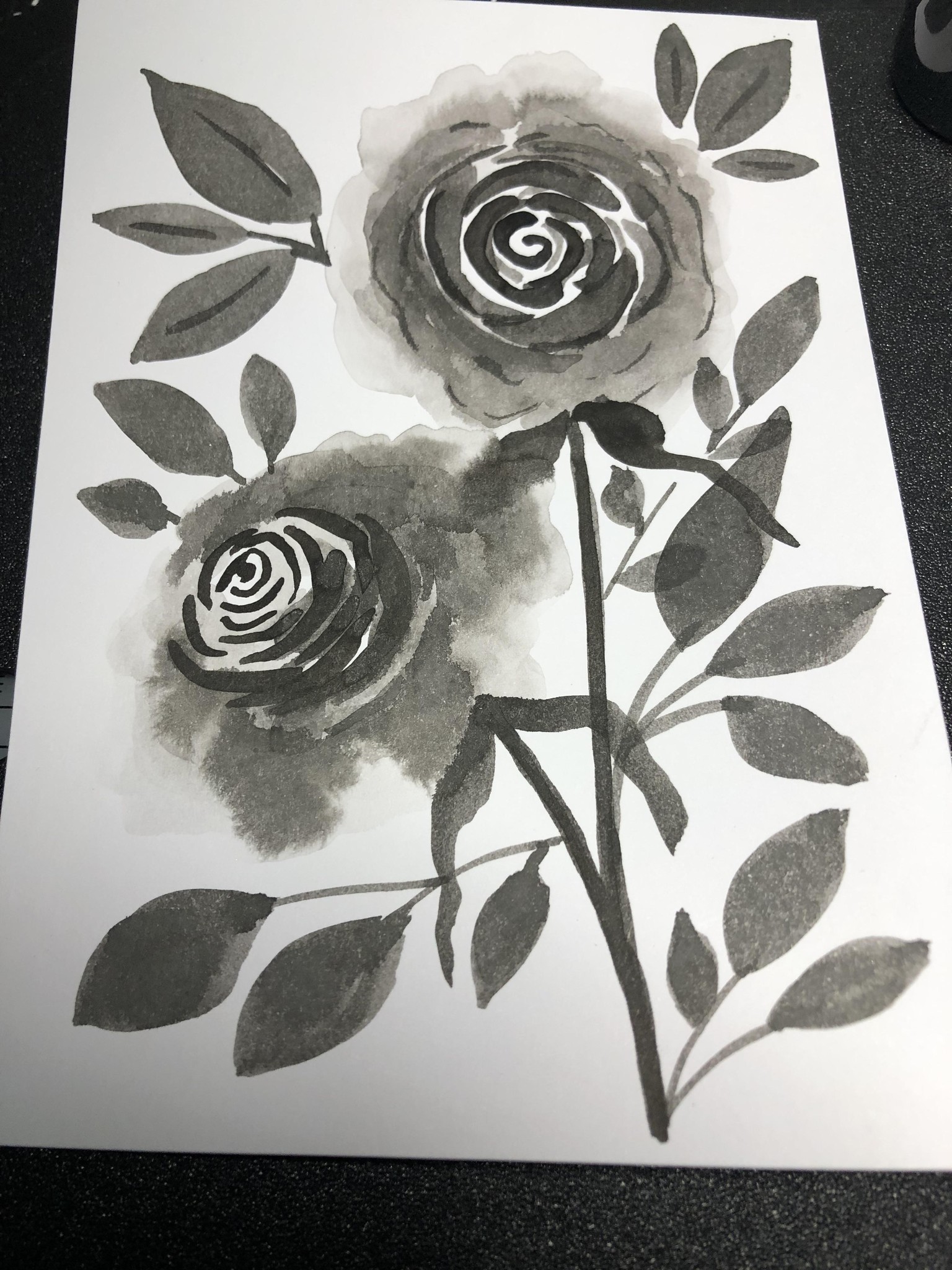 Black Botanicals - image 1 - student project