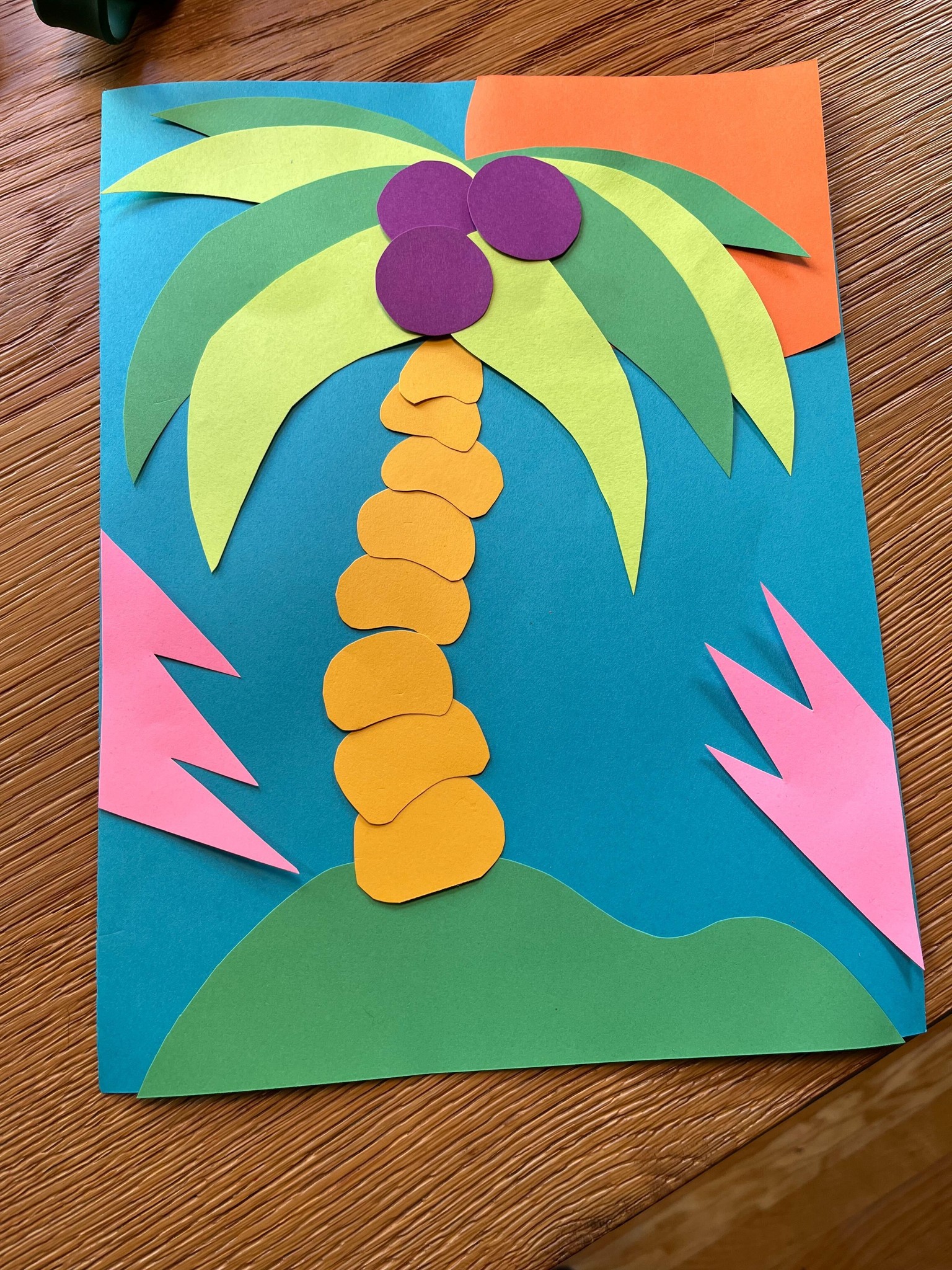 Dreaming of Palm Trees - image 1 - student project