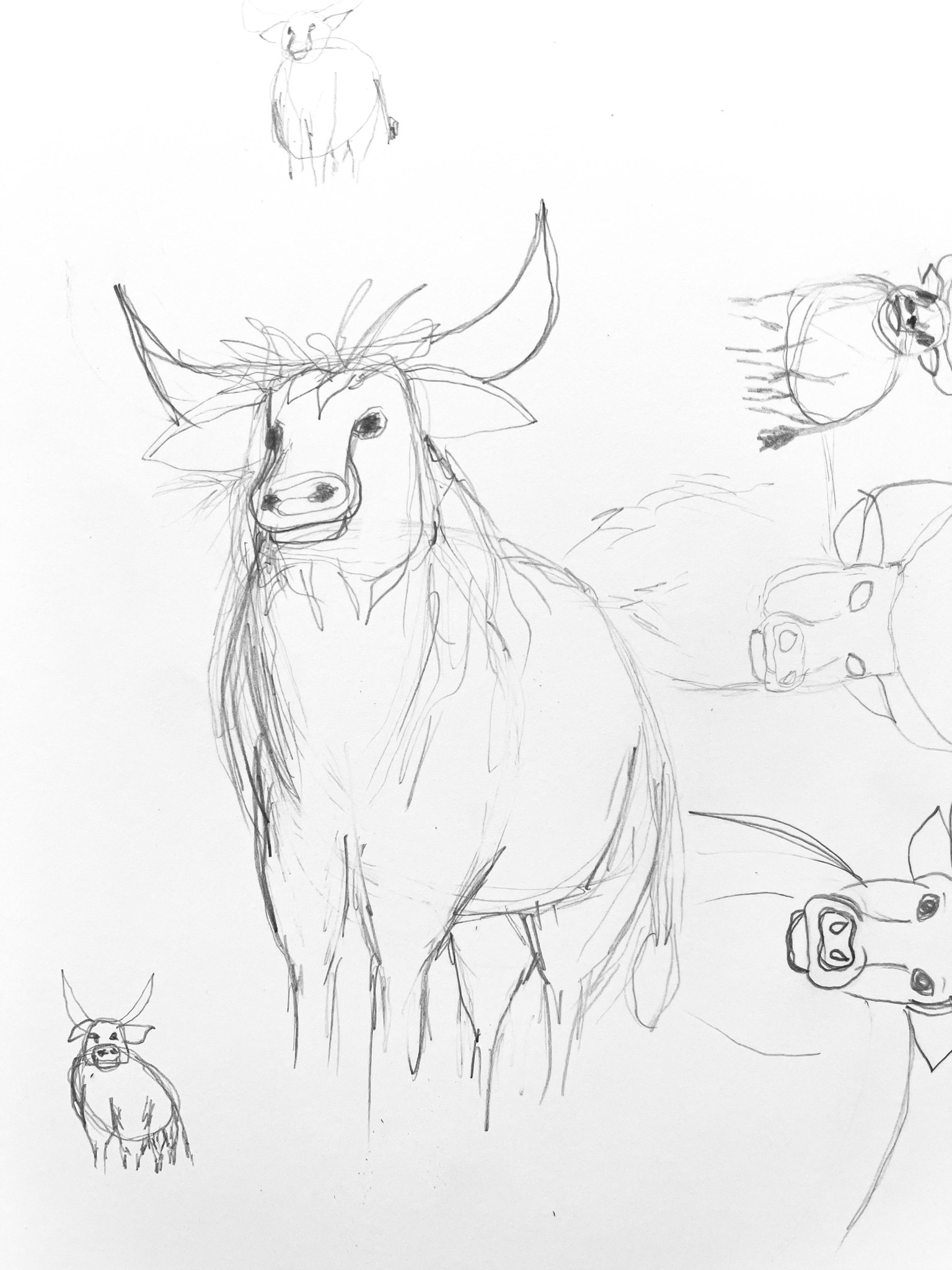 Easter and Taurus Season - image 5 - student project