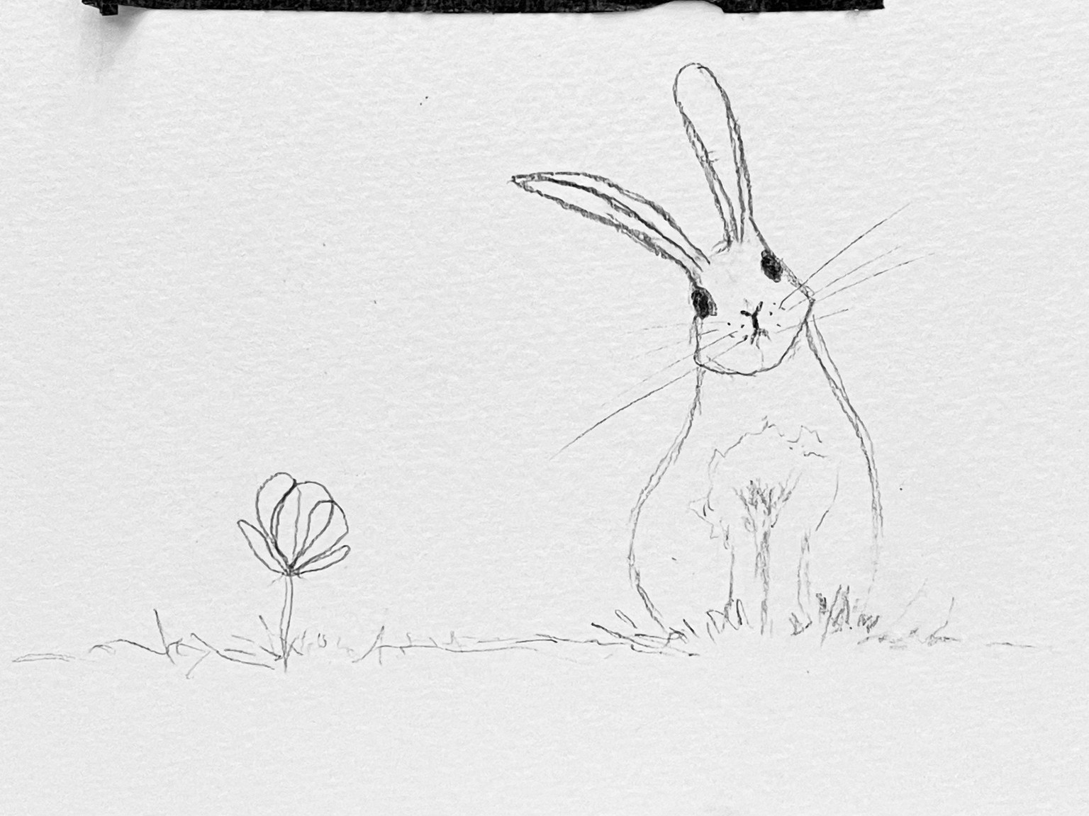 Easter and Taurus Season - image 1 - student project