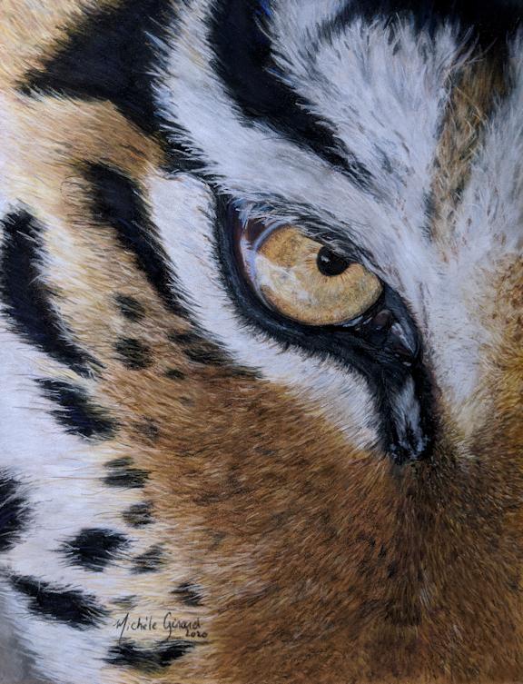 Tiger Eye - image 1 - student project