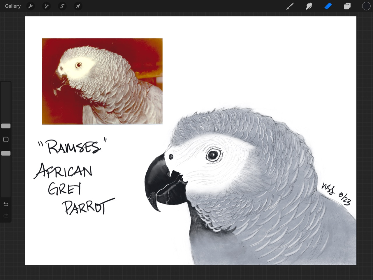 Birds - image 1 - student project