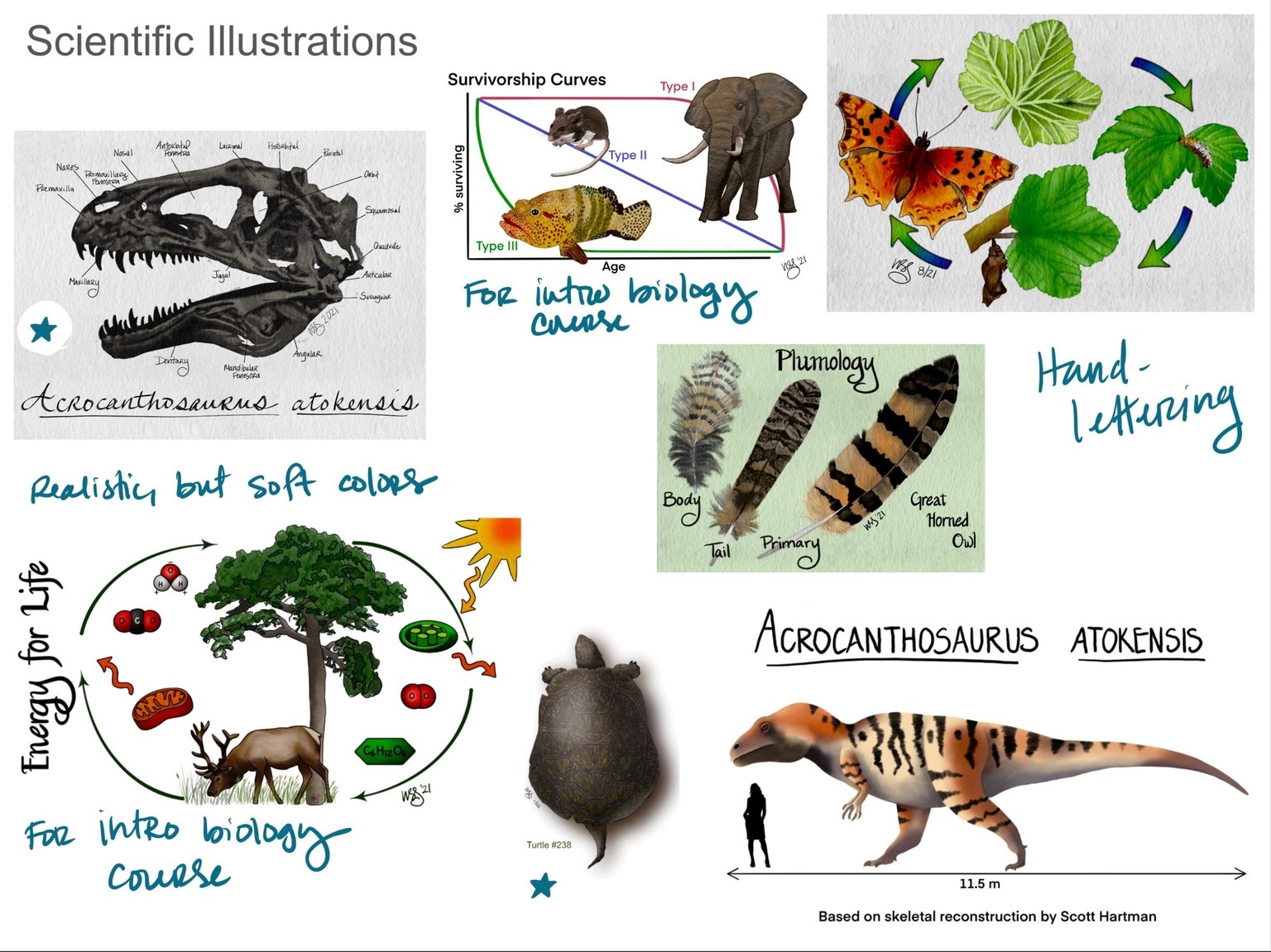 Signature Art Style - image 12 - student project