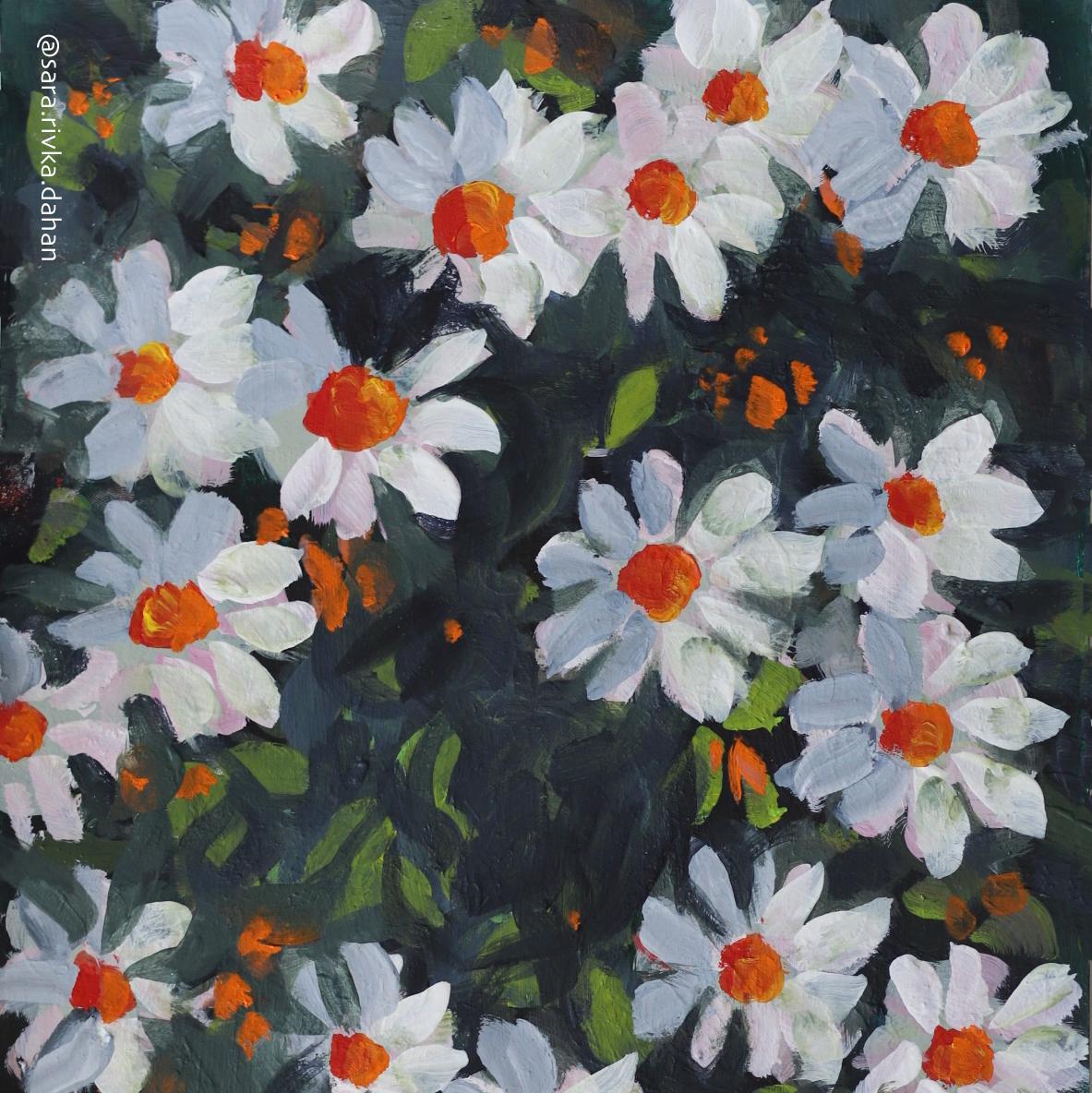 Daisies and more daisies! - image 1 - student project