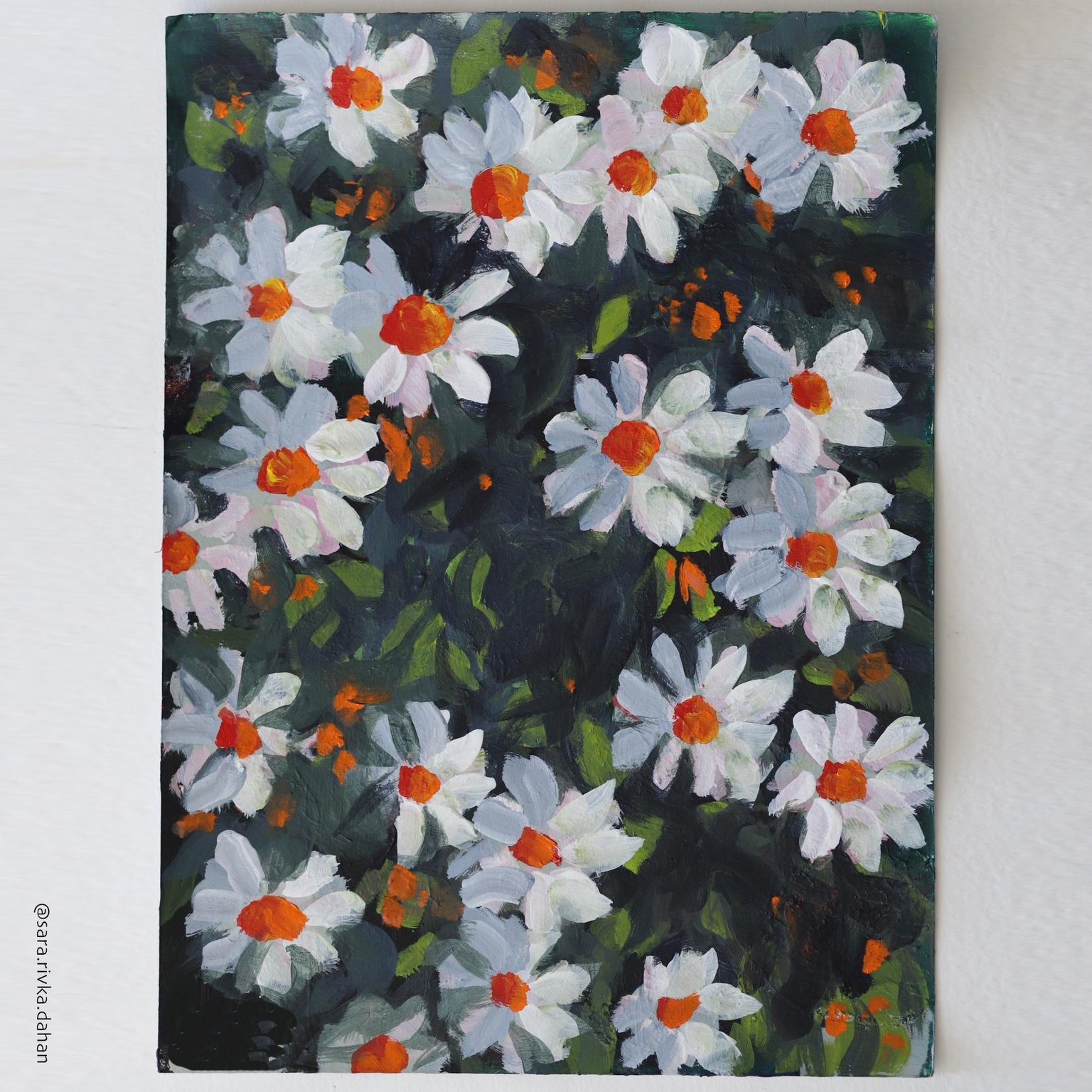 Daisies and more daisies! - image 2 - student project