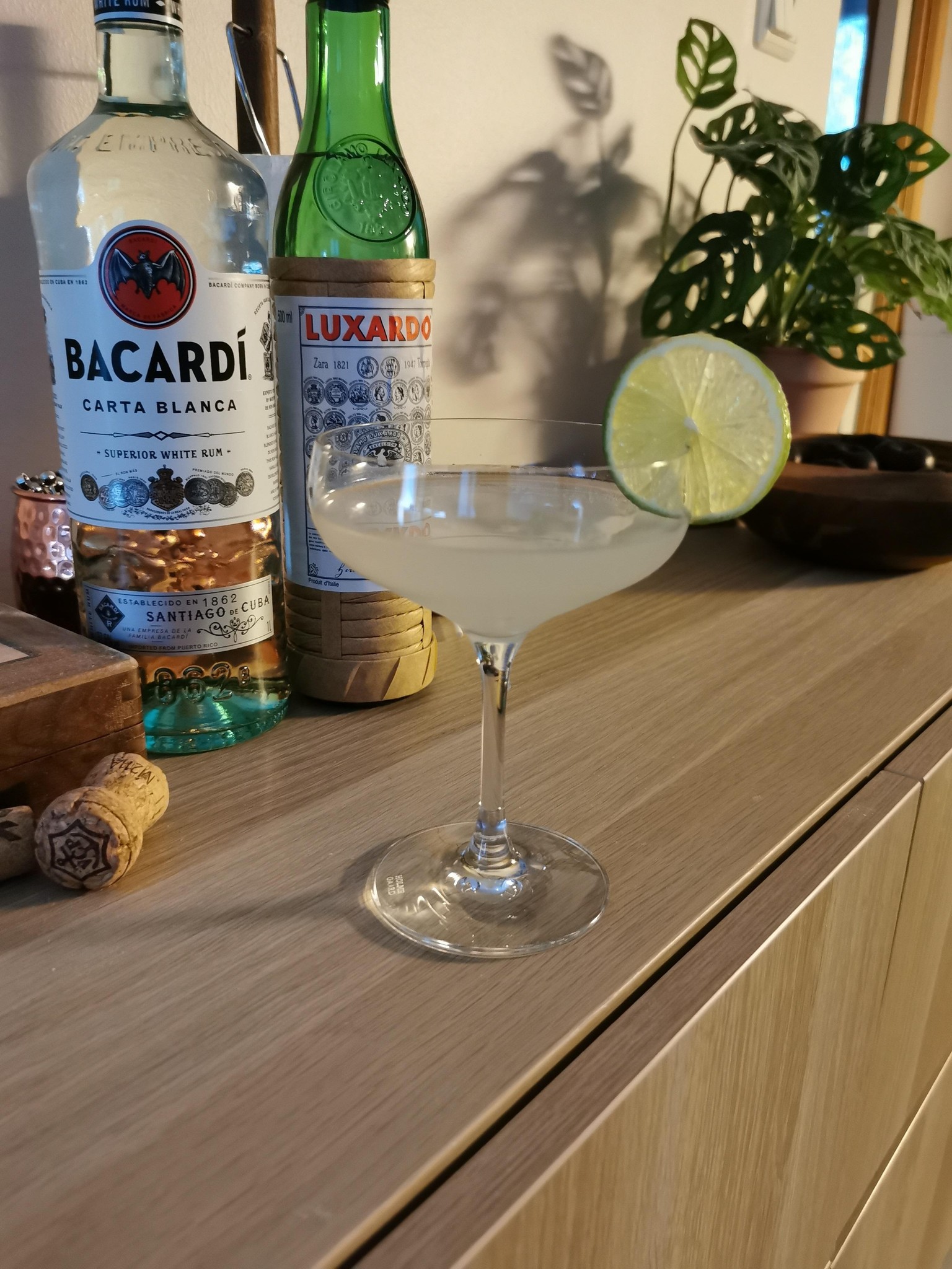 Daiquiri - image 1 - student project
