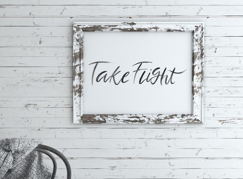 Take Flight - image 3 - student project