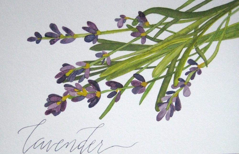 Lavender - image 5 - student project