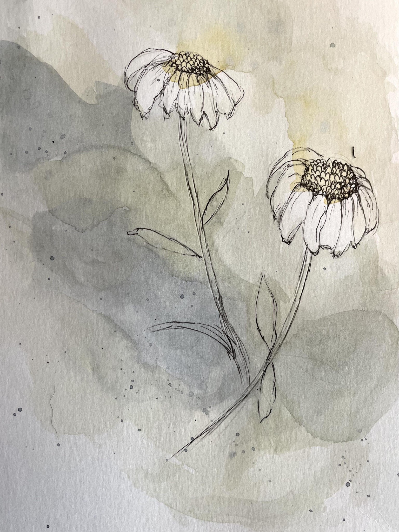 loose ink & watercolor florals - image 1 - student project