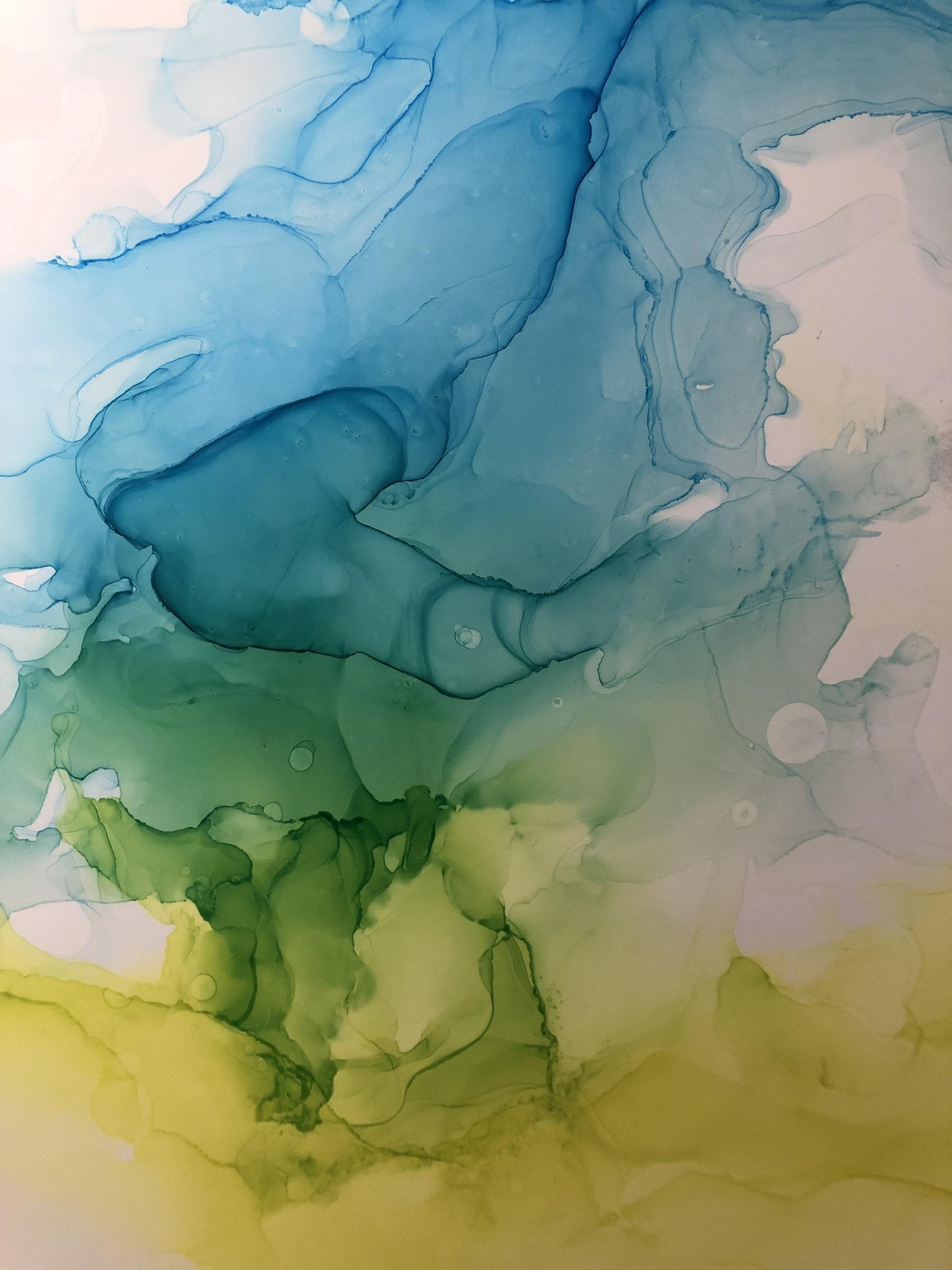 Playing around with alcohol inks for the first time! - image 1 - student project