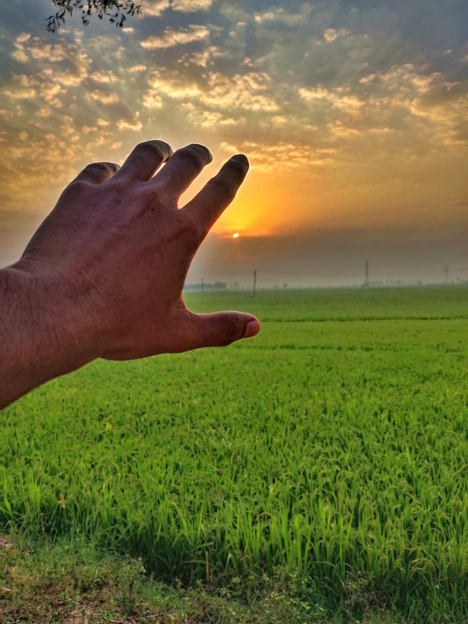 Morning sunrise - image 1 - student project