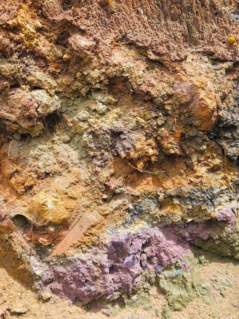Finding my palette and leaf paint - image 1 - student project