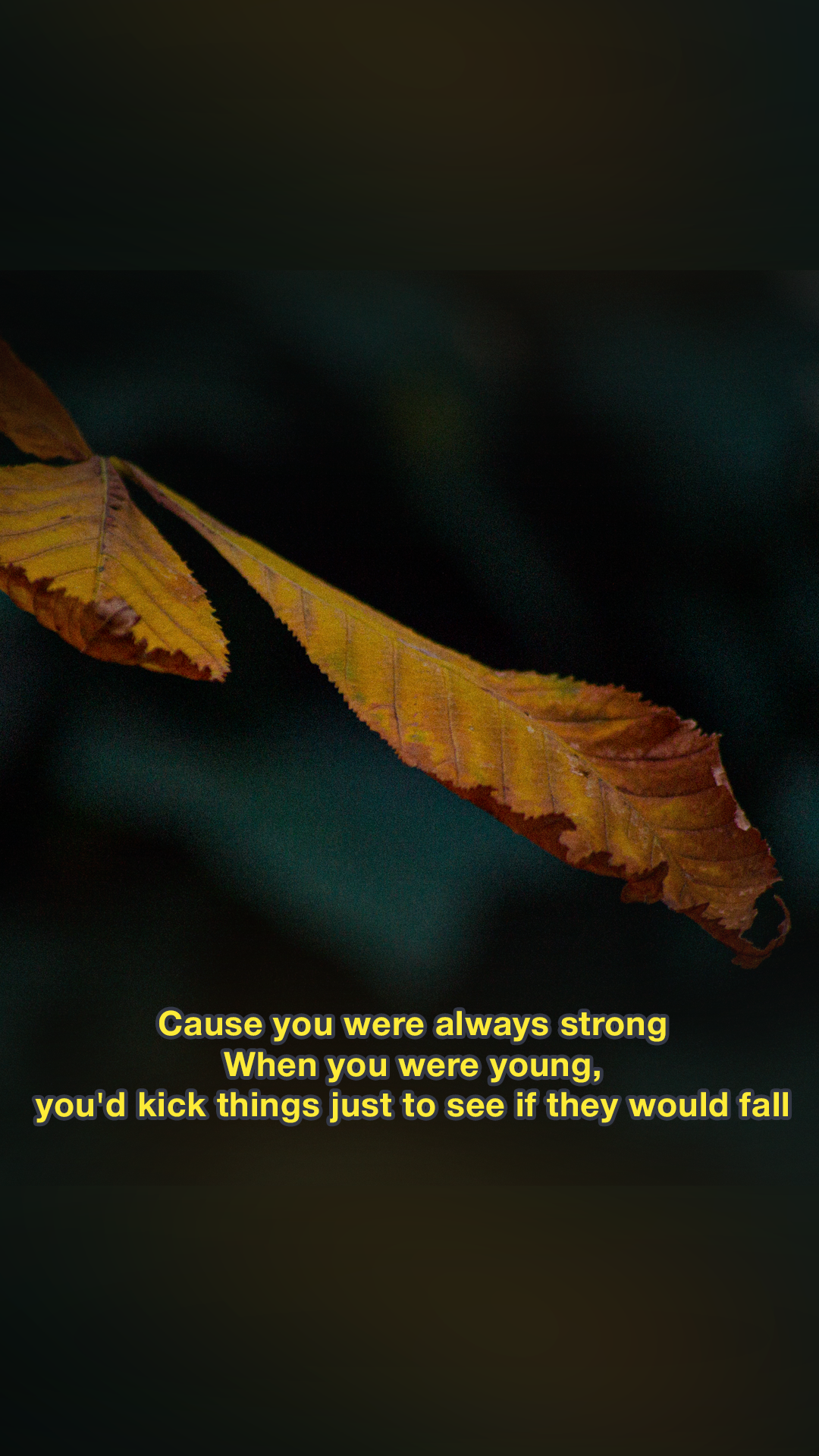 Moody Film Like - image 9 - student project