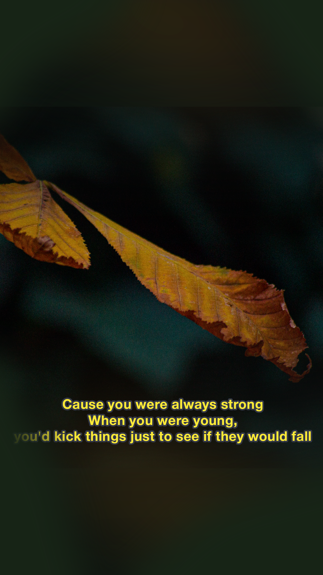 Moody Film Like - image 8 - student project