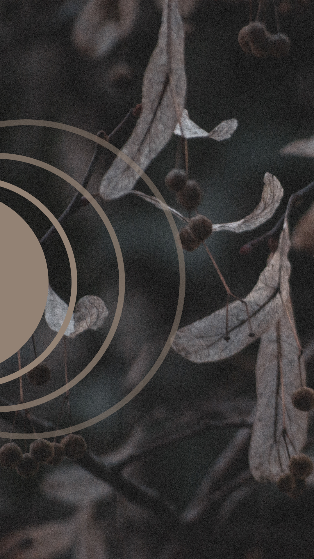 Moody Film Like - image 13 - student project