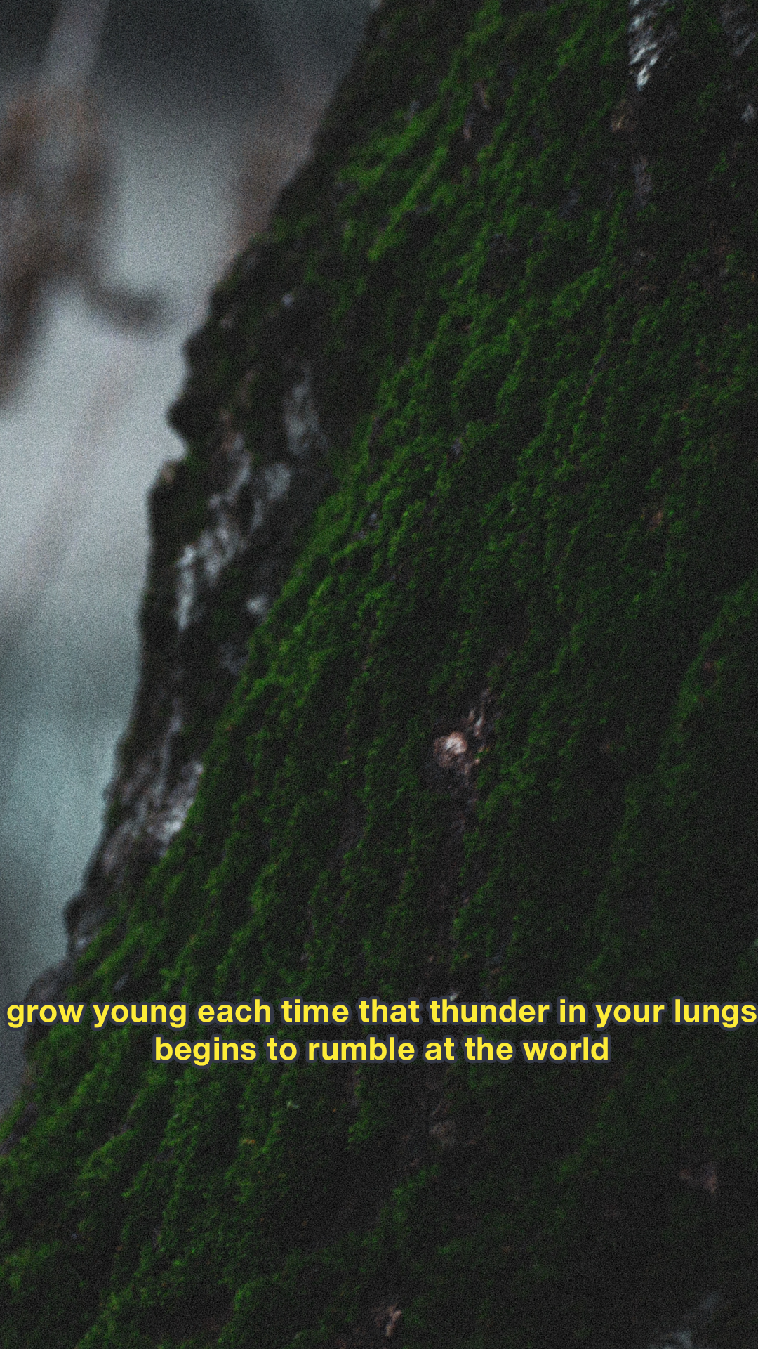 Moody Film Like - image 2 - student project