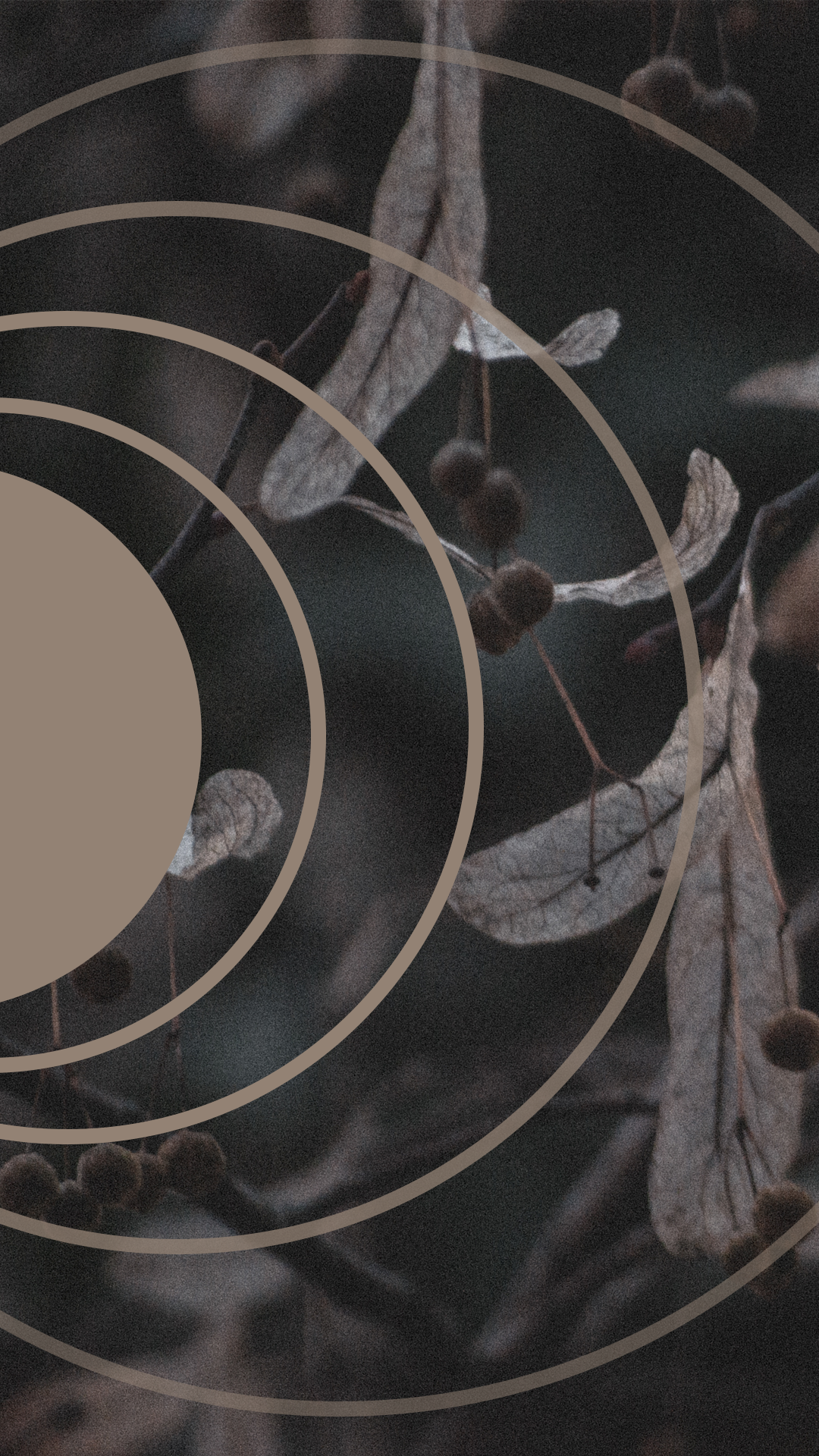 Moody Film Like - image 14 - student project