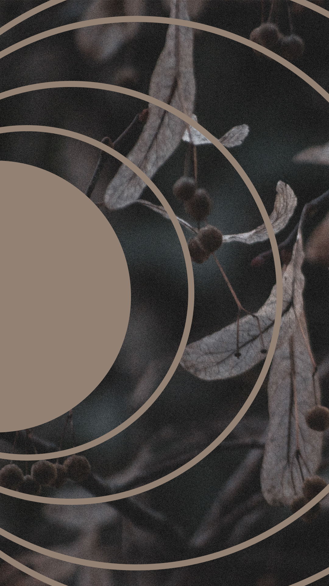 Moody Film Like - image 15 - student project