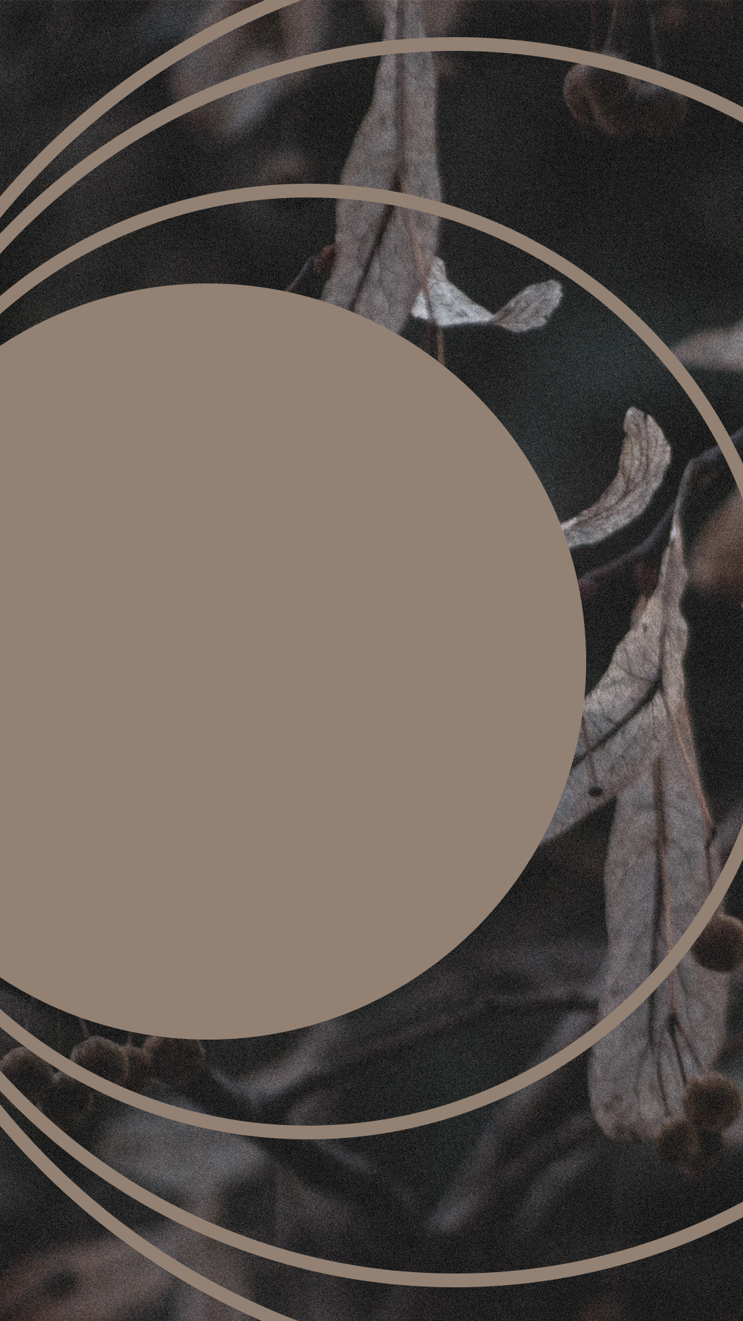 Moody Film Like - image 16 - student project