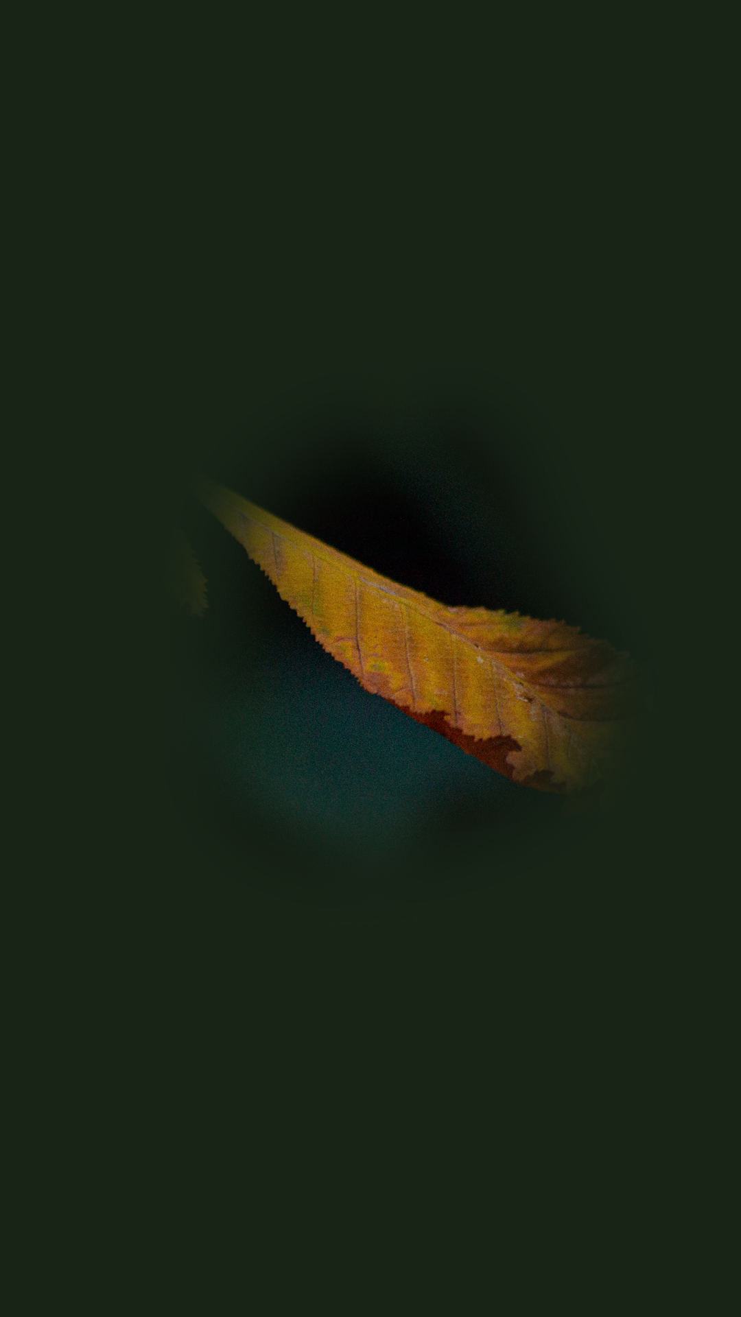 Moody Film Like - image 6 - student project