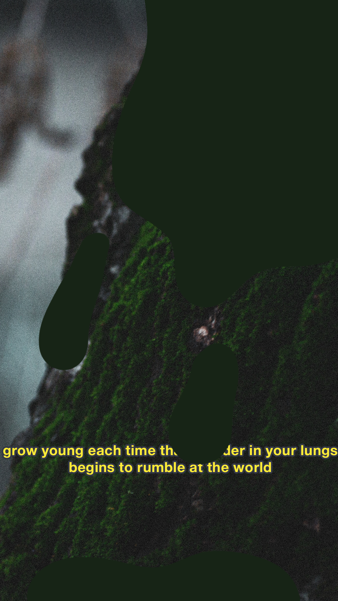 Moody Film Like - image 3 - student project