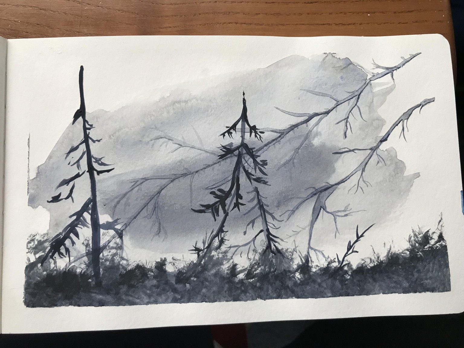 Winter view - image 5 - student project