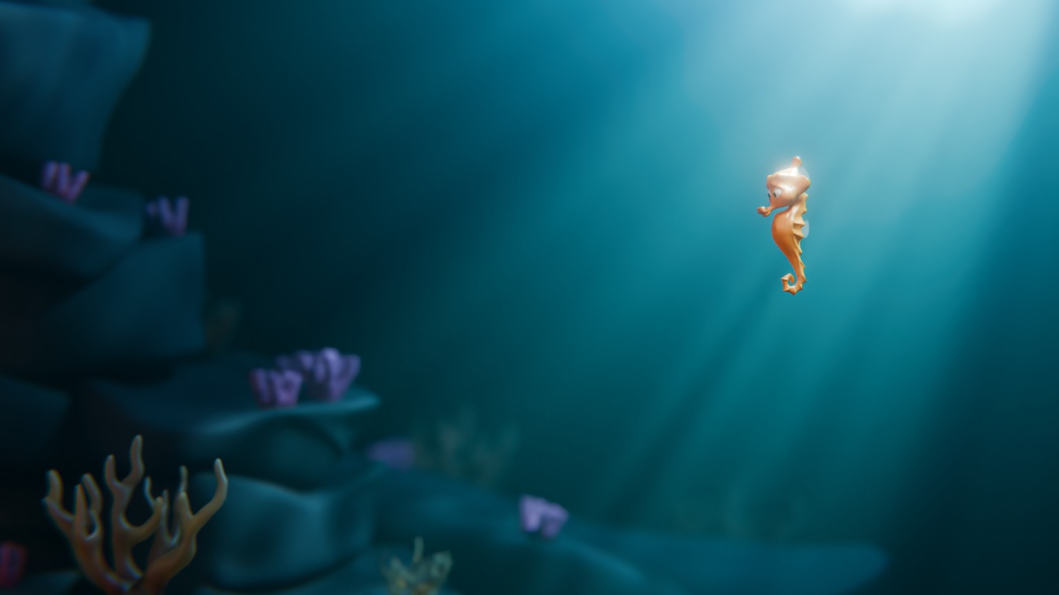 Seahorse Class was fun! - image 1 - student project