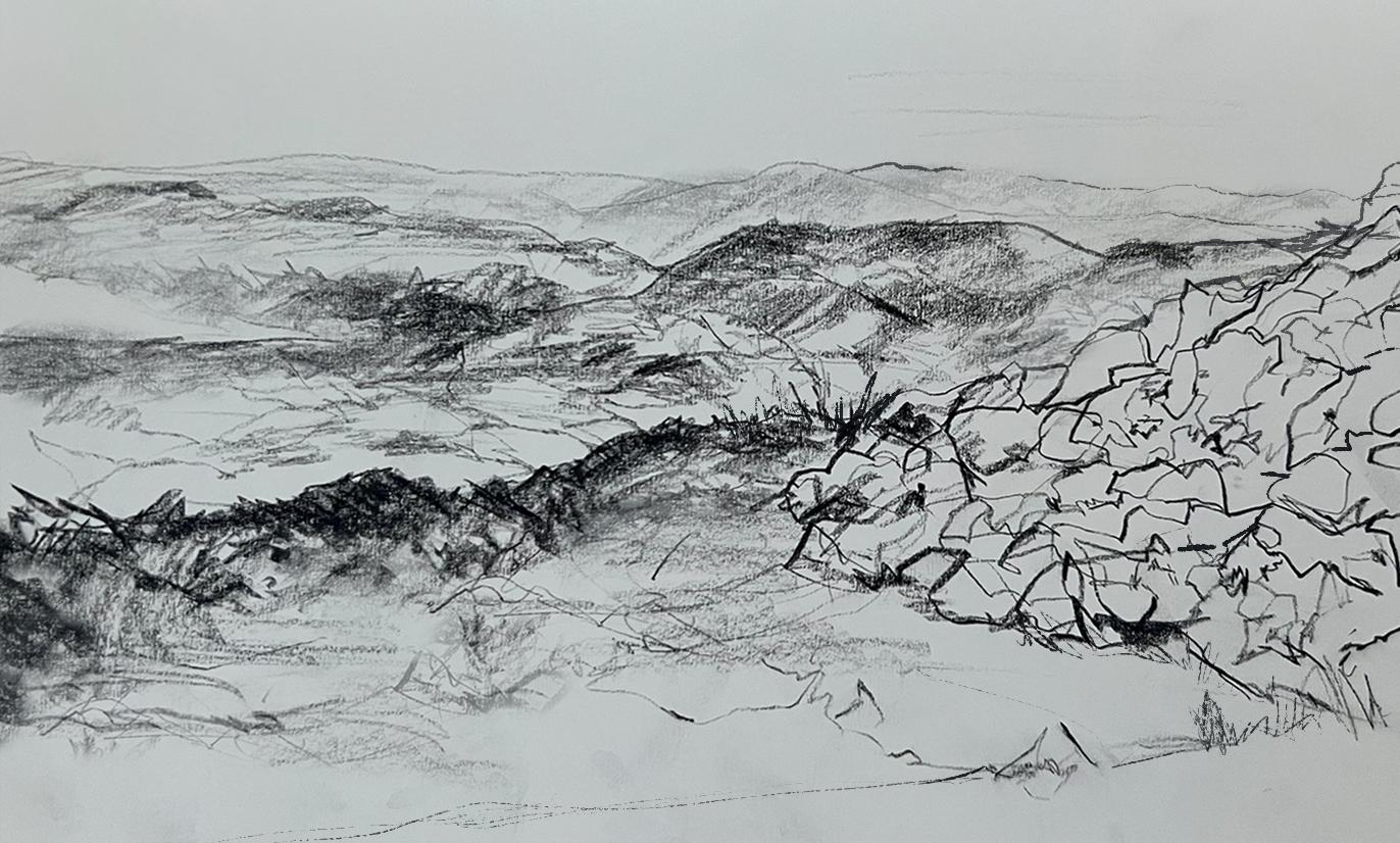 Landscape Sketch - image 1 - student project