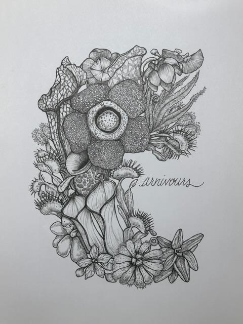 Carnivorous - image 1 - student project