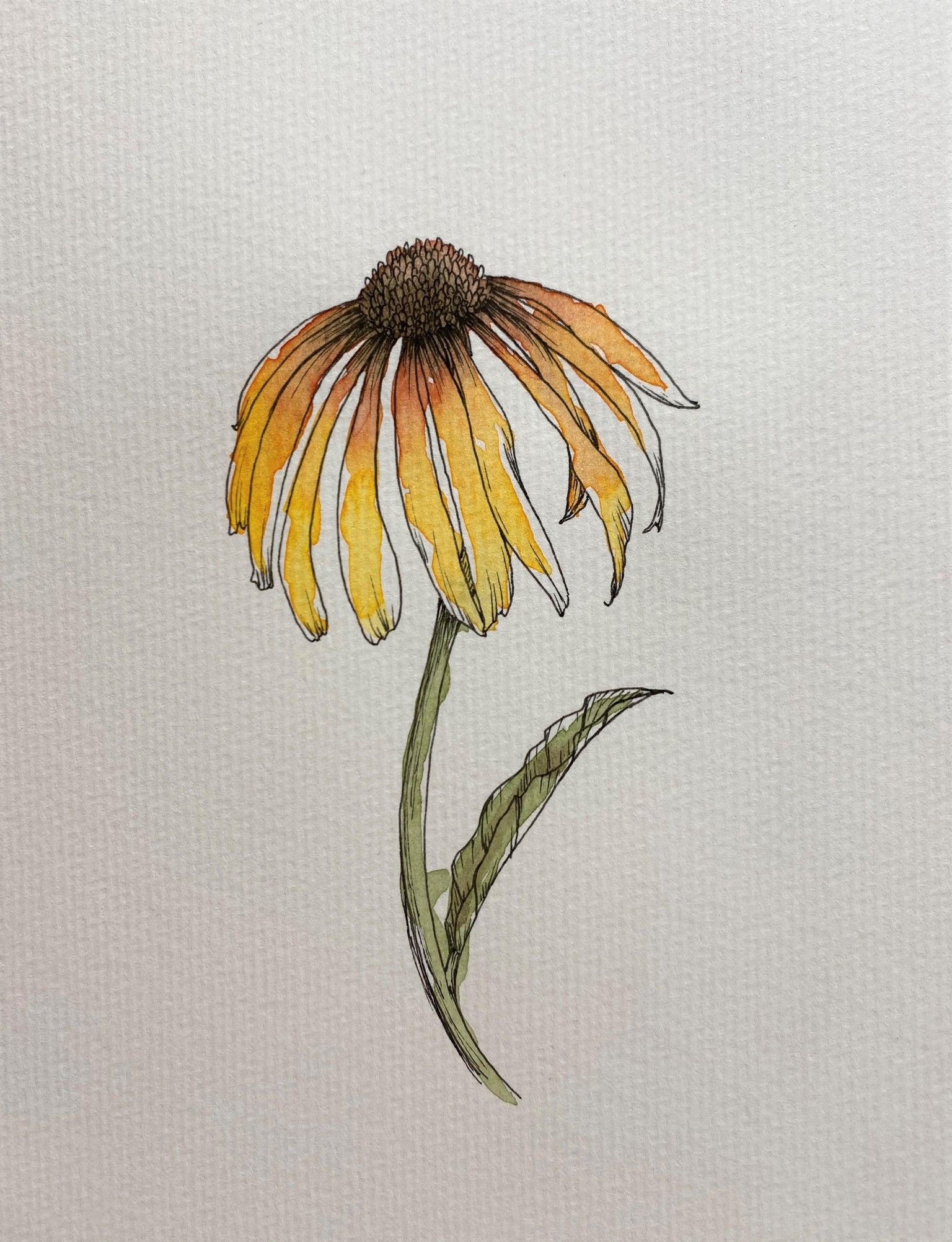 Exploring Loose Ink & Watercolor - image 1 - student project