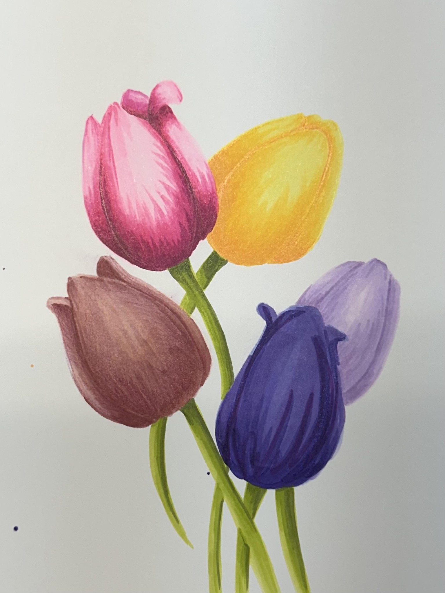Markers - image 3 - student project