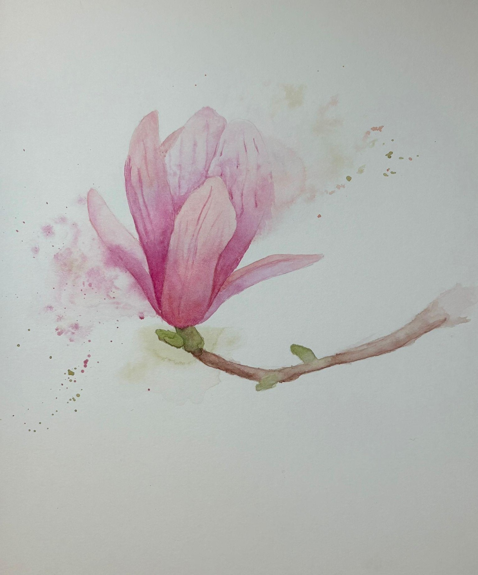 My magnolia - image 1 - student project