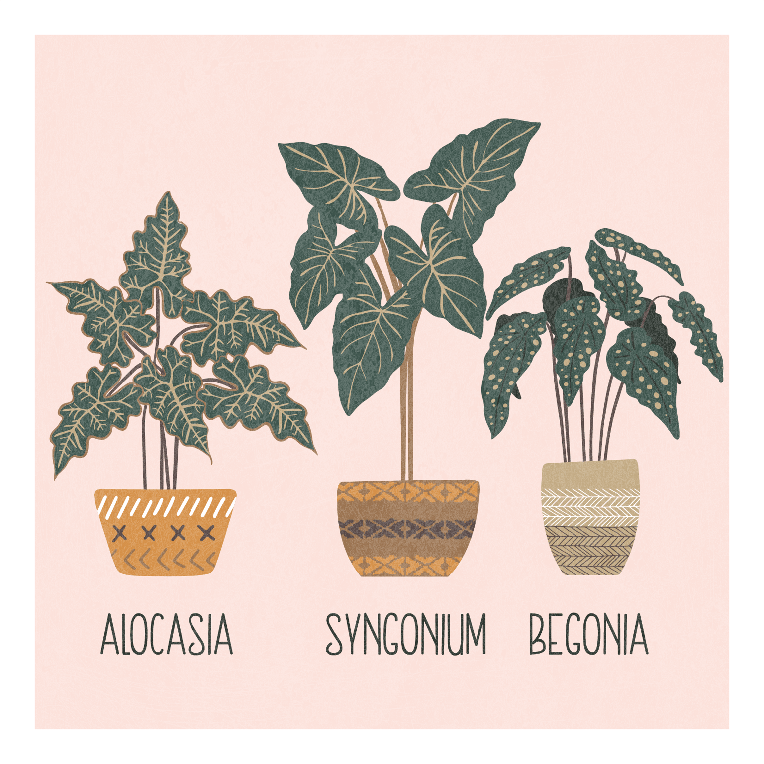 Plants illustrator iPad - image 1 - student project