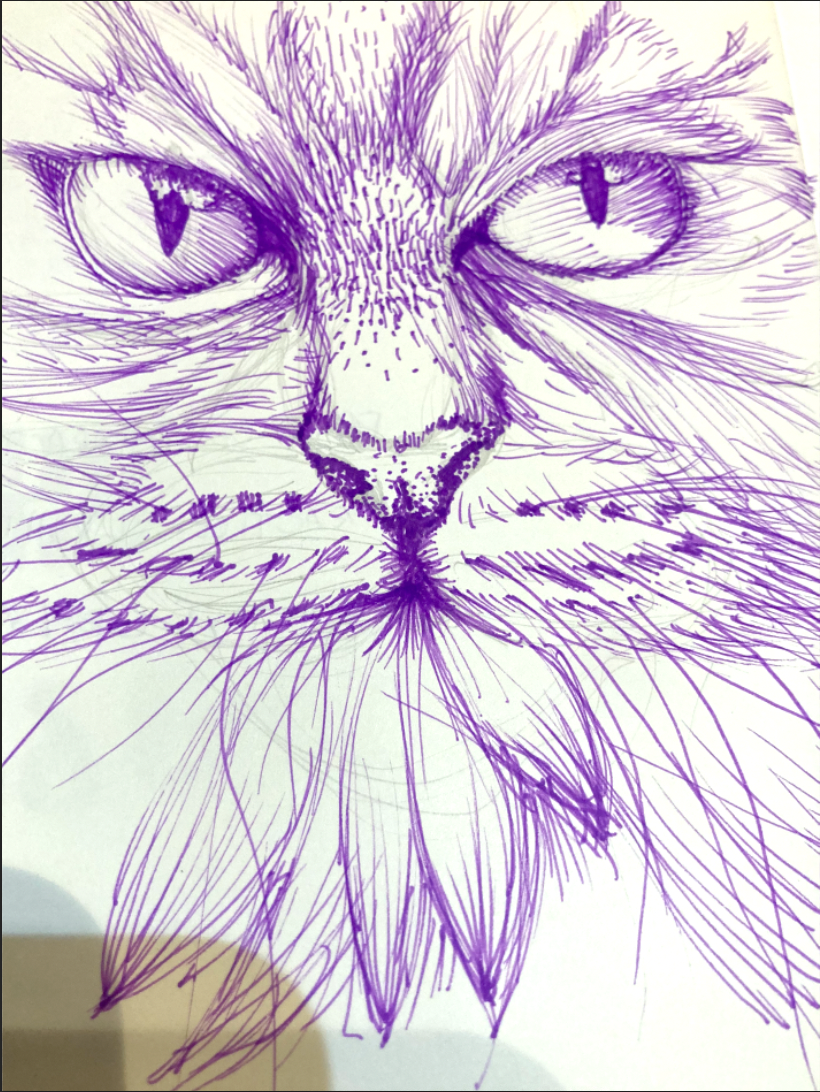 Fur Practice - image 1 - student project