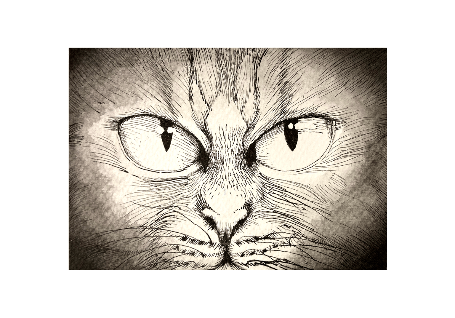 Fur Practice - image 2 - student project