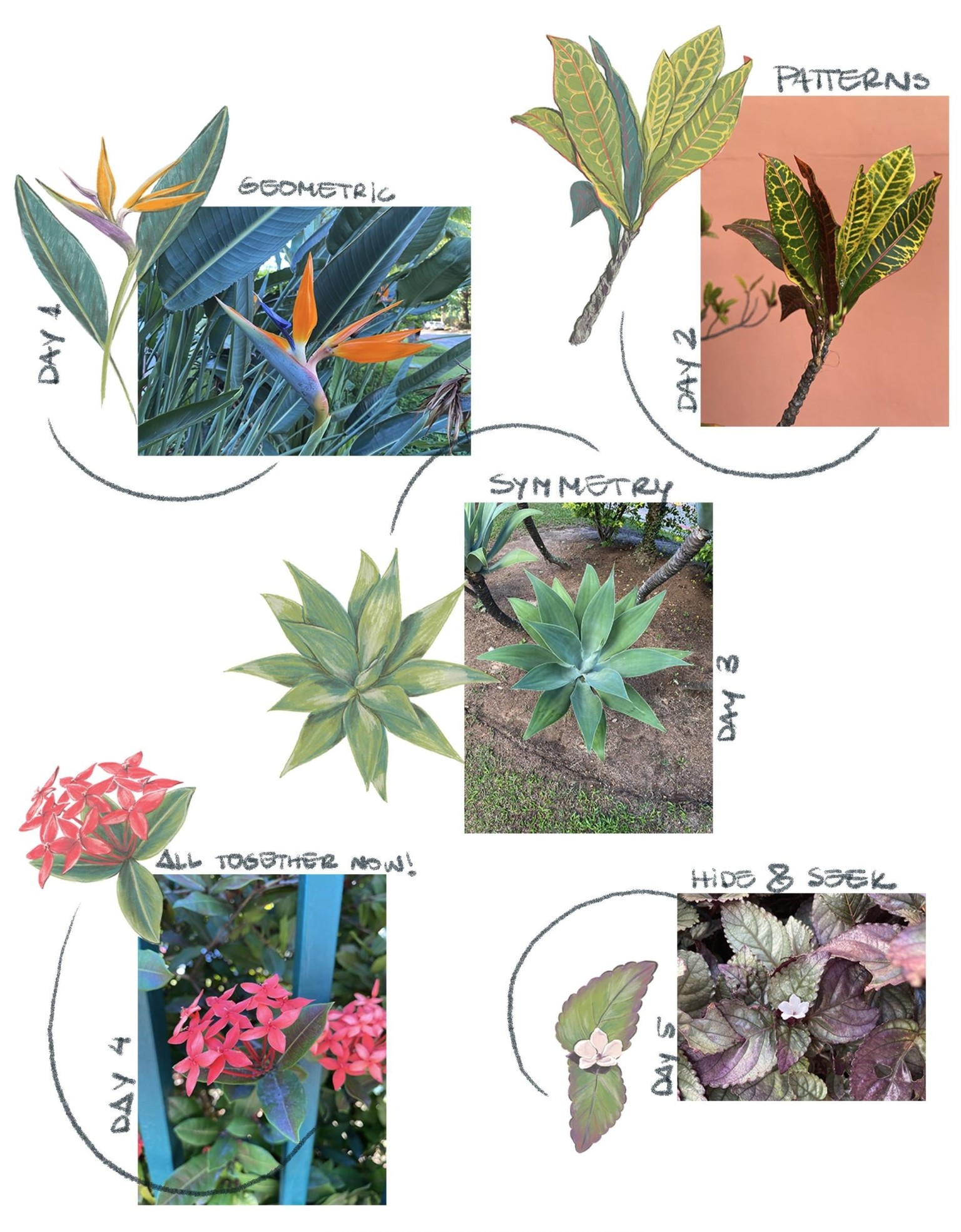 References & Illustrations - image 1 - student project