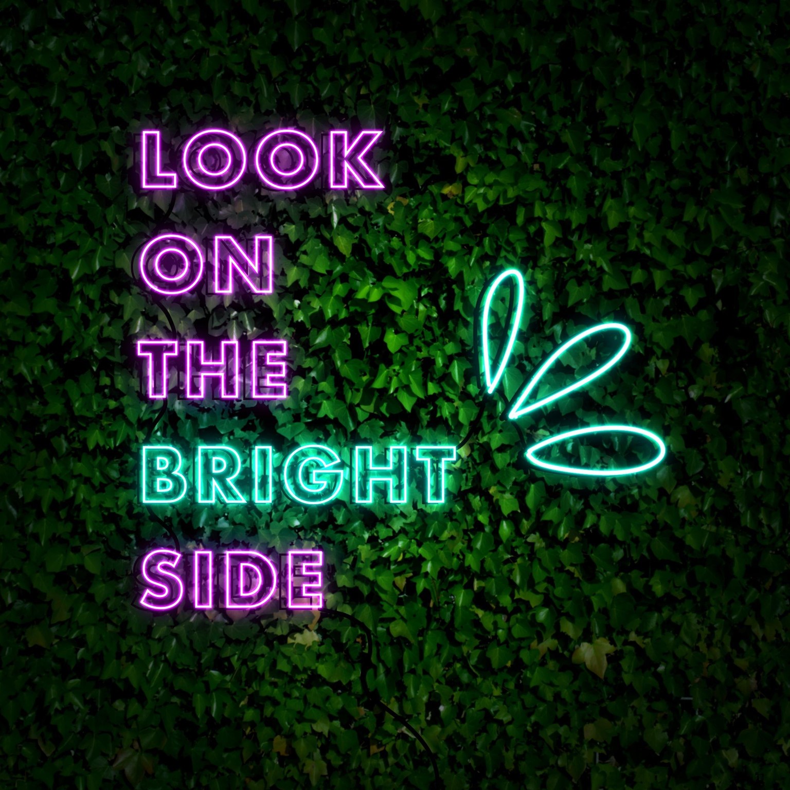 Look on the BRIGHT side - image 1 - student project