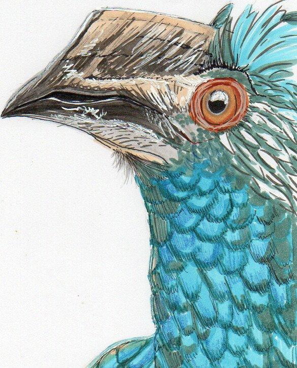 bird - image 1 - student project